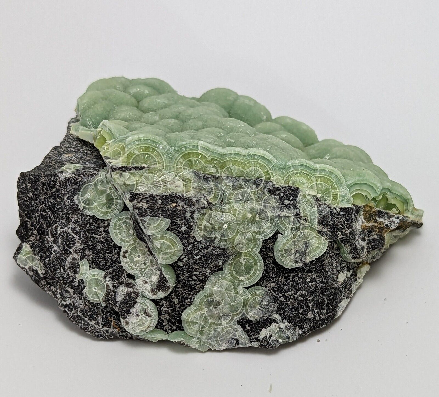 Amazing A + Wavellite - Fantastic 1990s Old Stock - Mauldin Mountain Arkansas - Collectibles:Rocks Fossils &