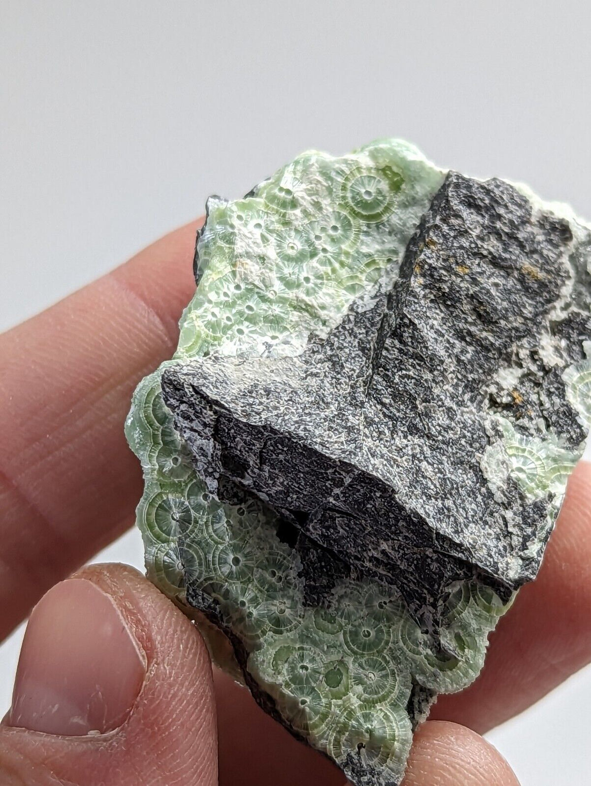 Amazing A + Wavellite - Fantastic 1990s Old Stock - Mauldin Mountain Arkansas - Collectibles:Rocks Fossils &