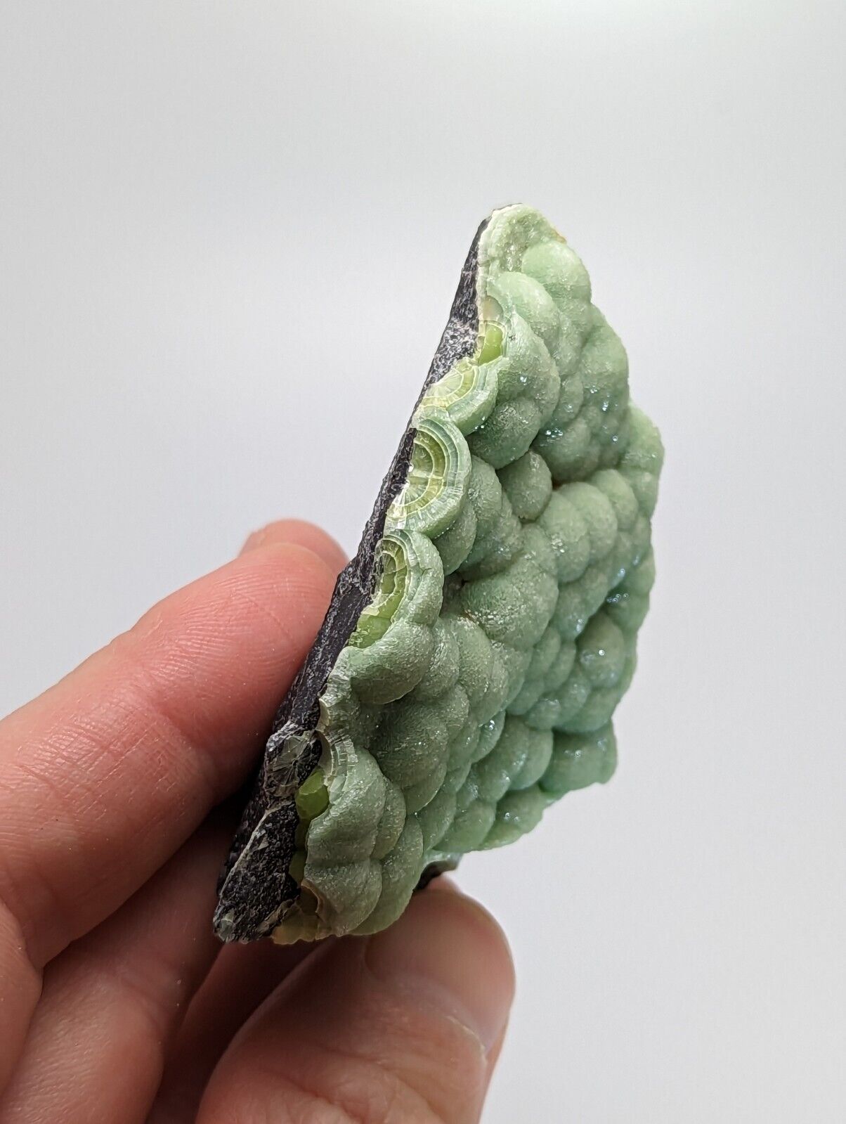 Amazing A + Wavellite - Fantastic 1990s Old Stock - Mauldin Mountain Arkansas - Collectibles:Rocks Fossils &