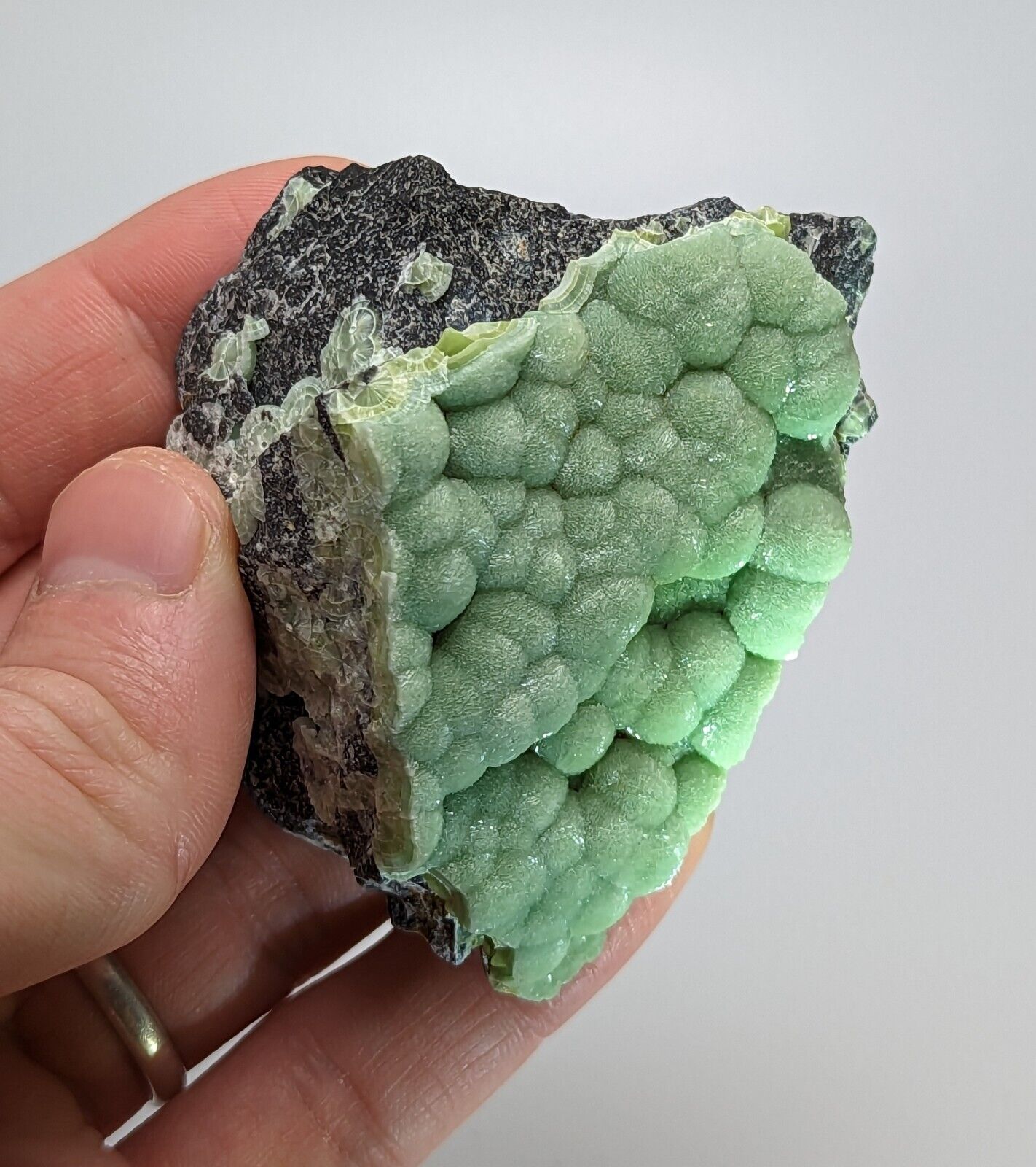 Amazing A + Wavellite - Fantastic 1990s Old Stock - Mauldin Mountain Arkansas - Collectibles:Rocks Fossils &