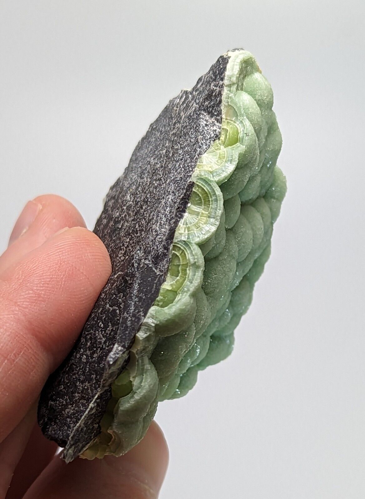 Amazing A + Wavellite - Fantastic 1990s Old Stock - Mauldin Mountain Arkansas - Collectibles:Rocks Fossils &