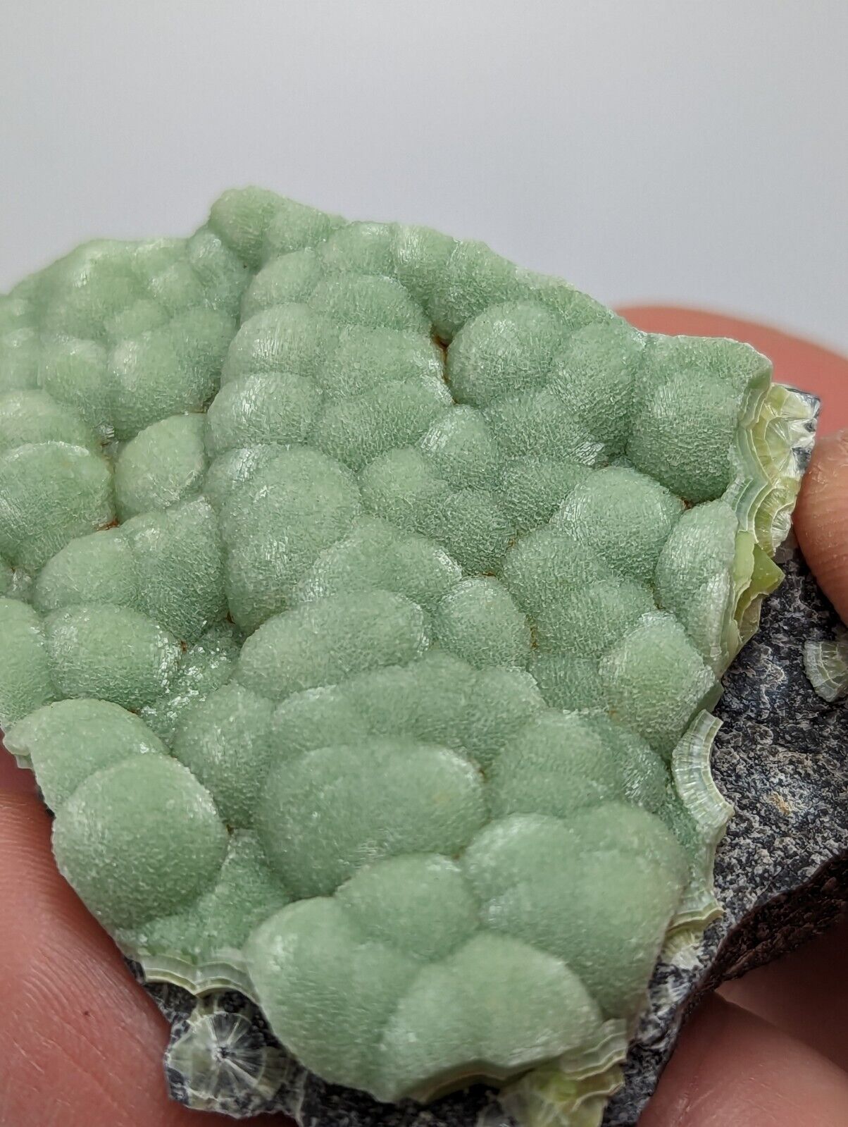 Amazing A + Wavellite - Fantastic 1990s Old Stock - Mauldin Mountain Arkansas - Collectibles:Rocks Fossils &