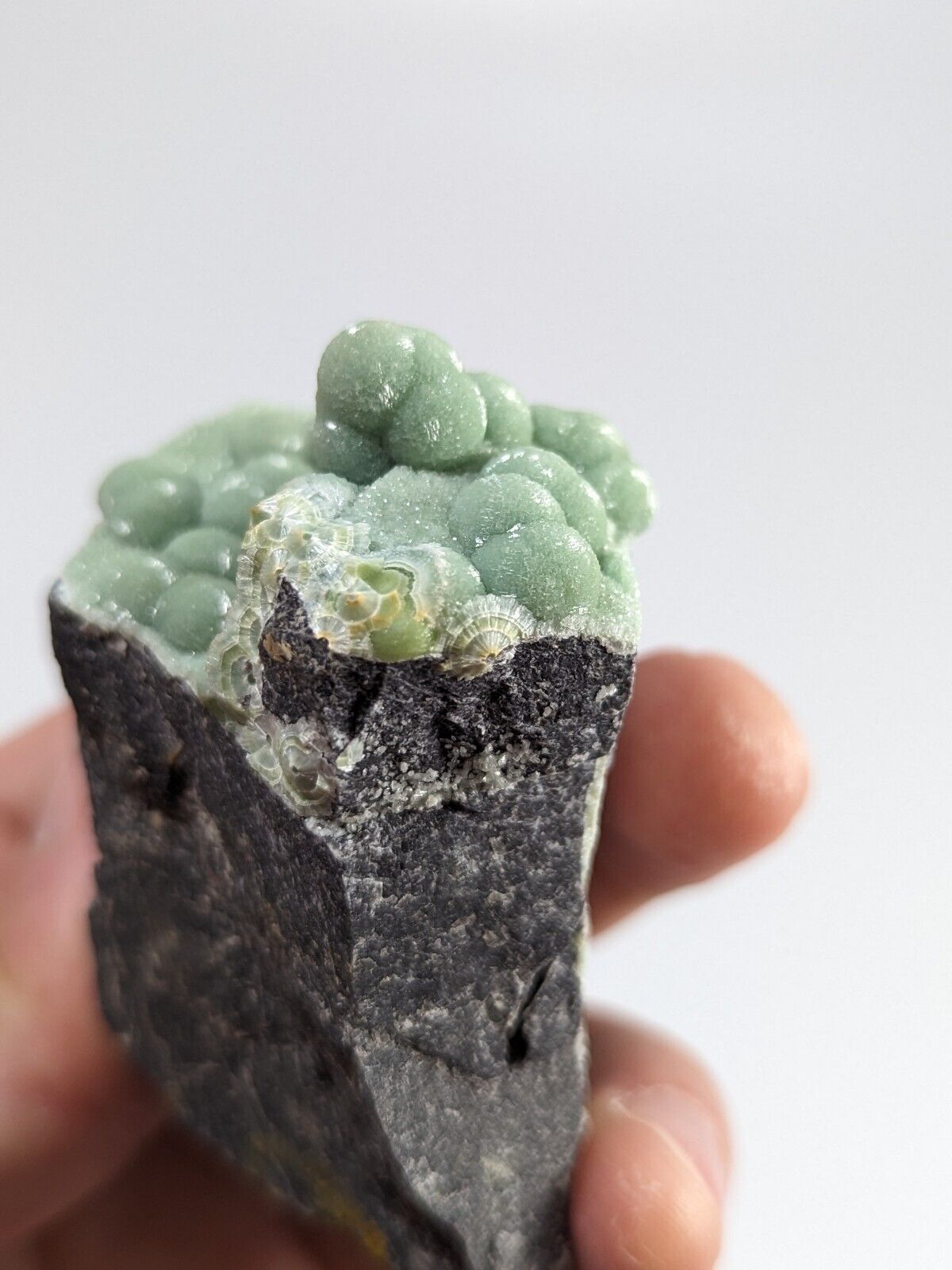 Amazing A + + Wavellite - Fantastic Old Stock - Mauldin Mountain Arkansas ooak - Collectibles:Rocks Fossils &