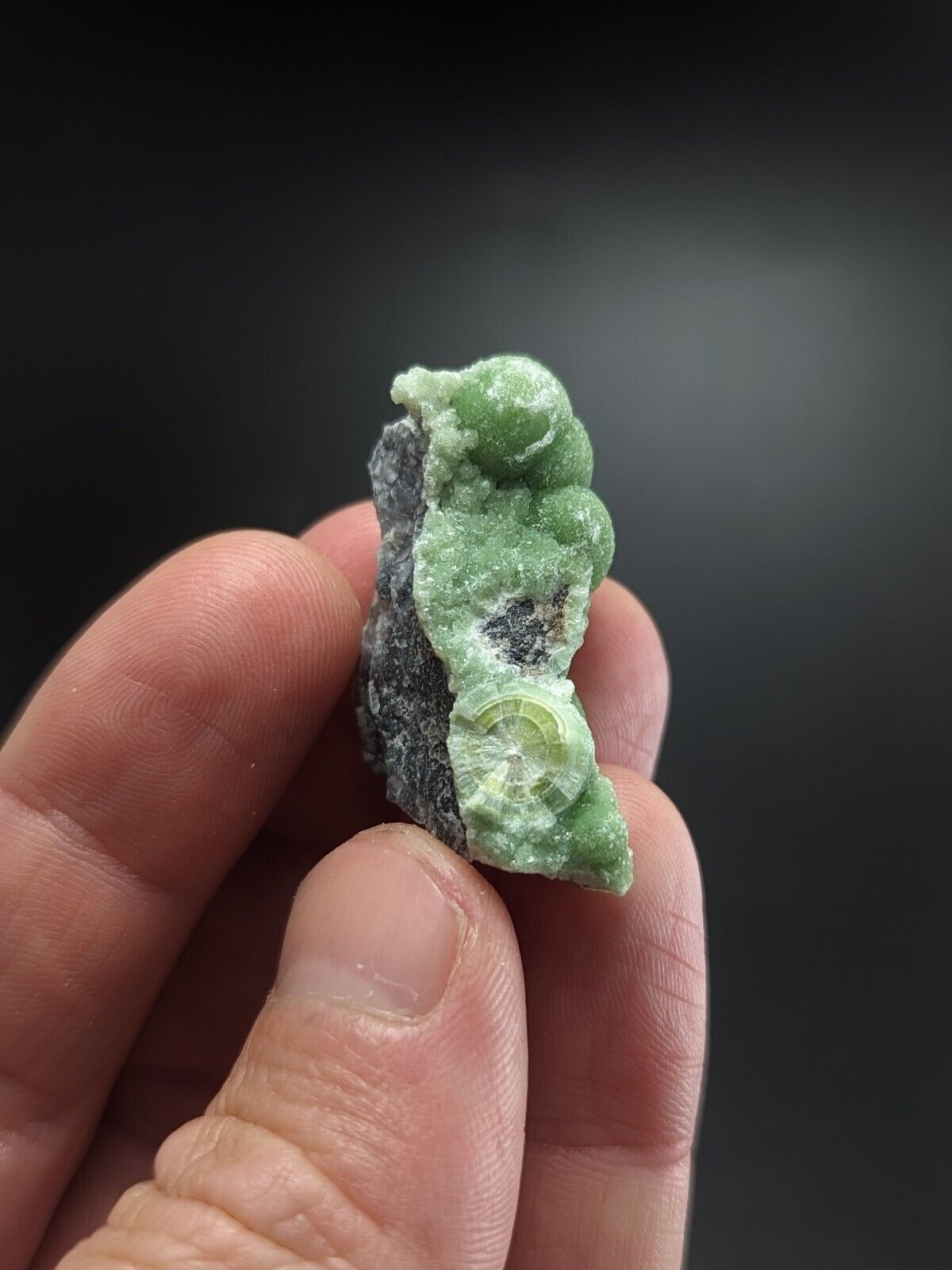 Amazing Green Wavellite - Vibrant Old Stock - Mauldin Mountain Arkansas ooak - Collectibles:Rocks Fossils &