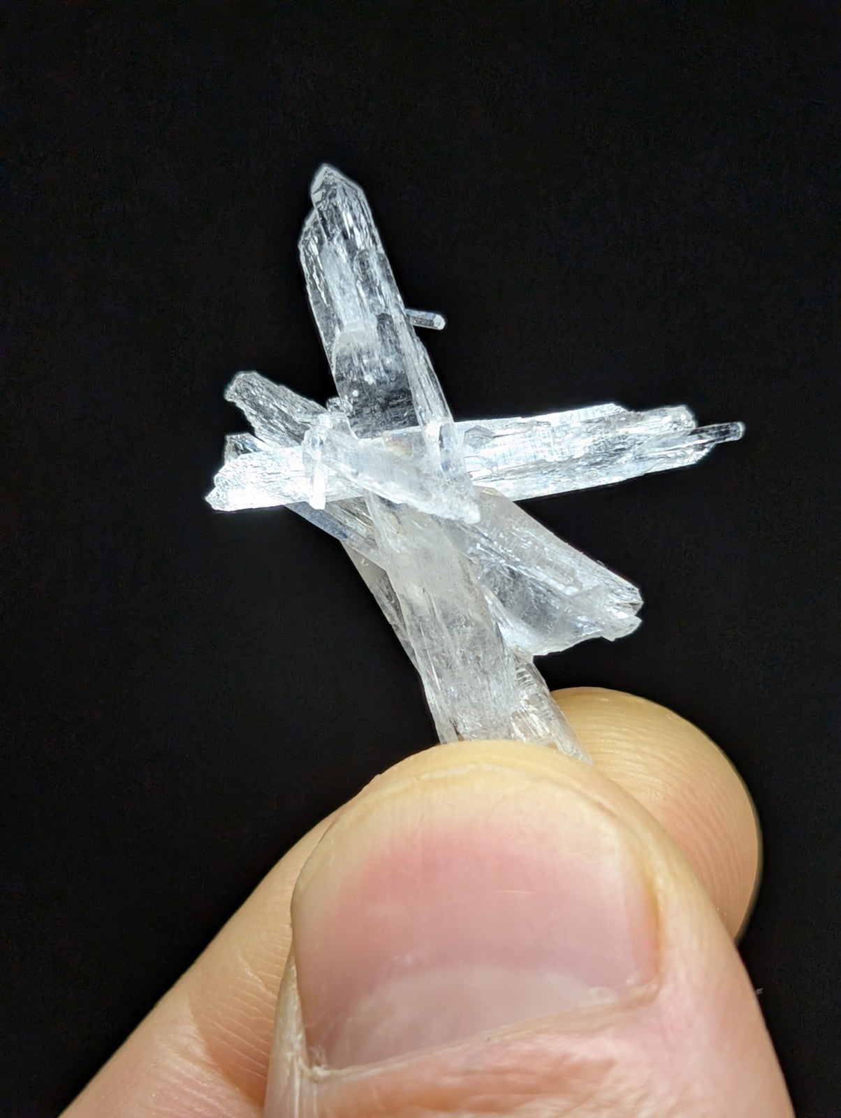 A clear, translucent crystal cluster with sharp, angular facets and a natural, branching structure.