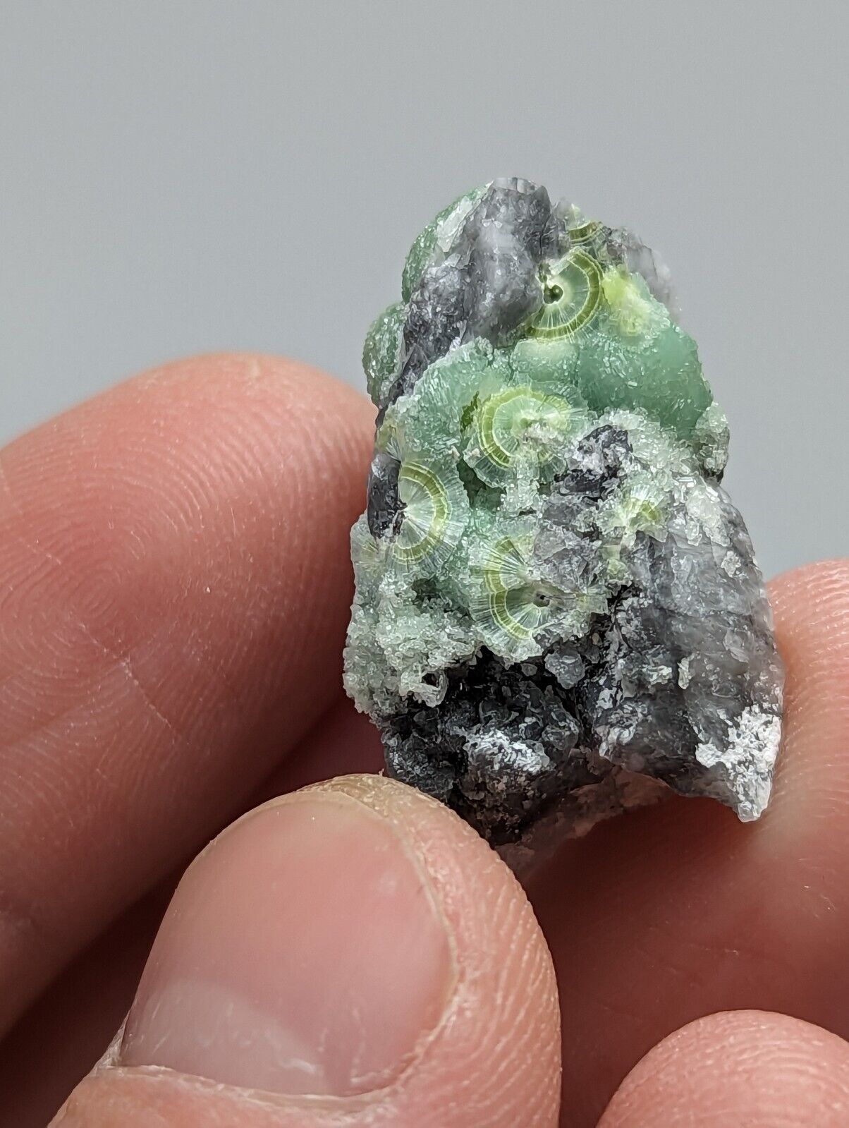 Amazing Wavellite - Fantastic 1990s Old Stock - Mauldin Mountain Arkansas - Collectibles:Rocks Fossils &