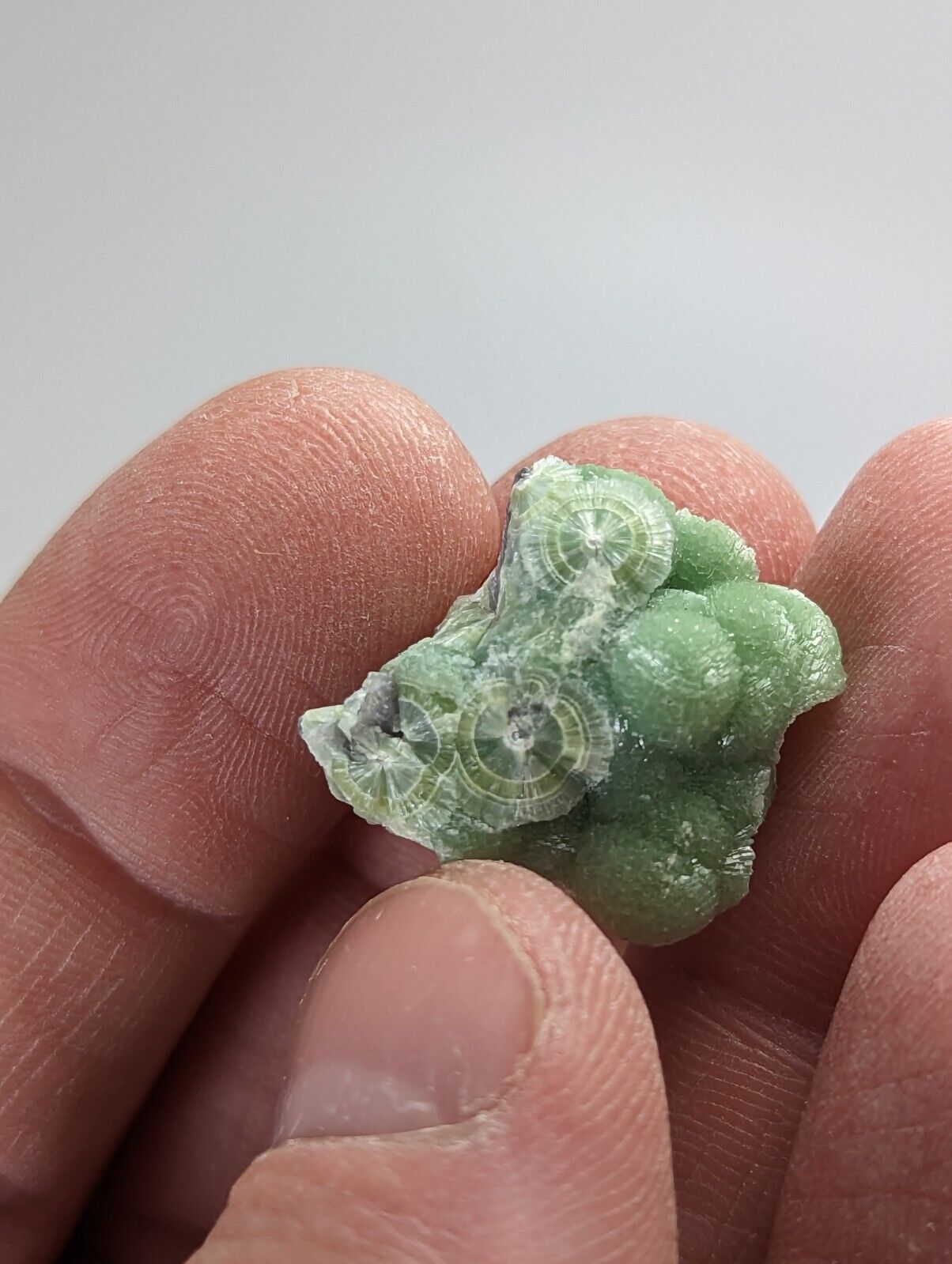Amazing Wavellite - Fantastic 1990s Old Stock - Mauldin Mountain Arkansas - Collectibles:Rocks Fossils &