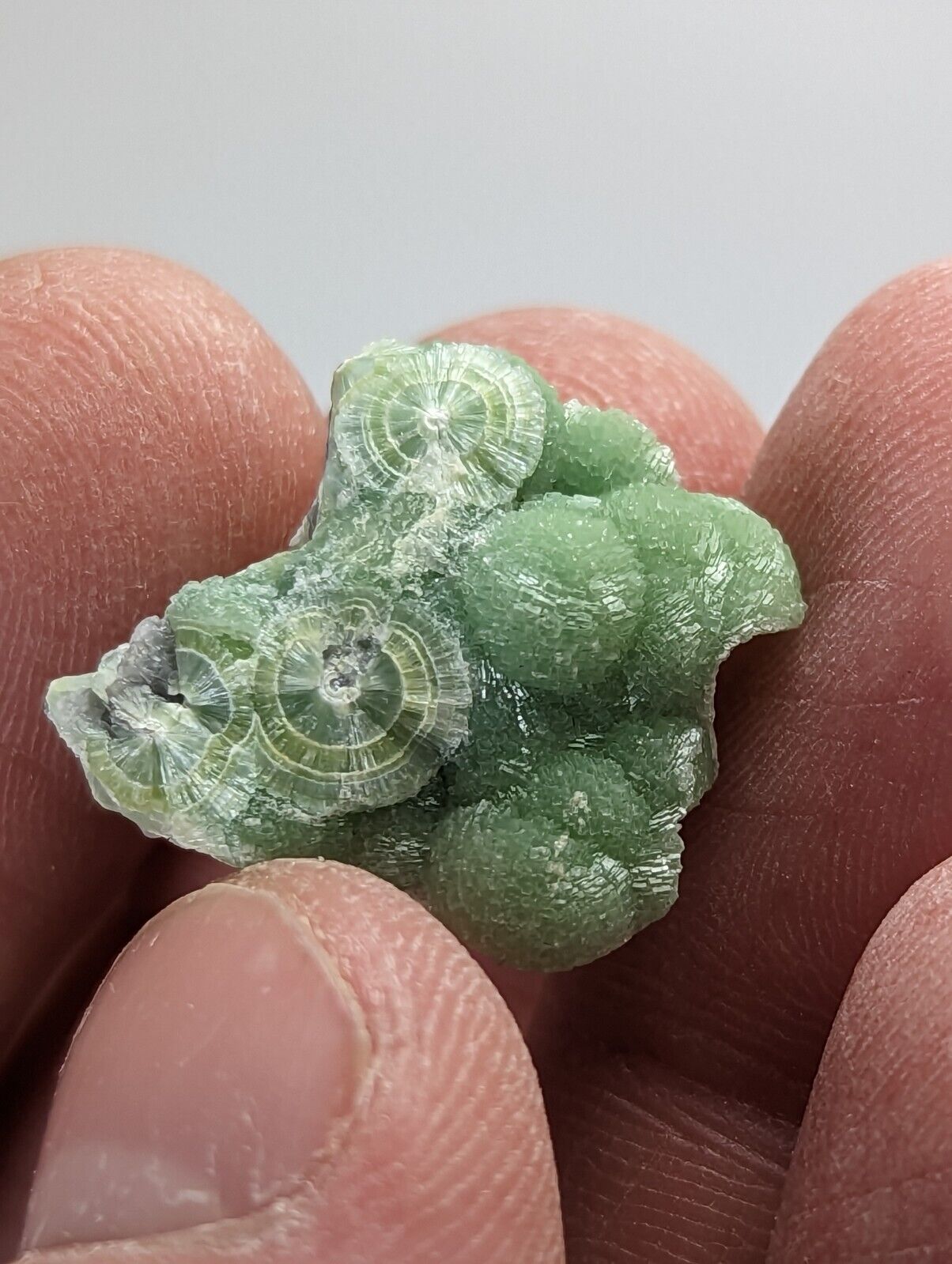 Amazing Wavellite - Fantastic 1990s Old Stock - Mauldin Mountain Arkansas - Collectibles:Rocks Fossils &
