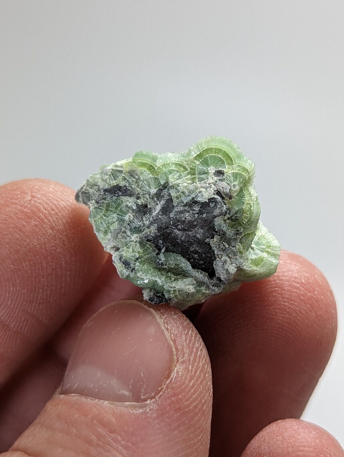 Amazing Wavellite - Fantastic 1990s Old Stock - Mauldin Mountain Arkansas - Collectibles:Rocks Fossils &