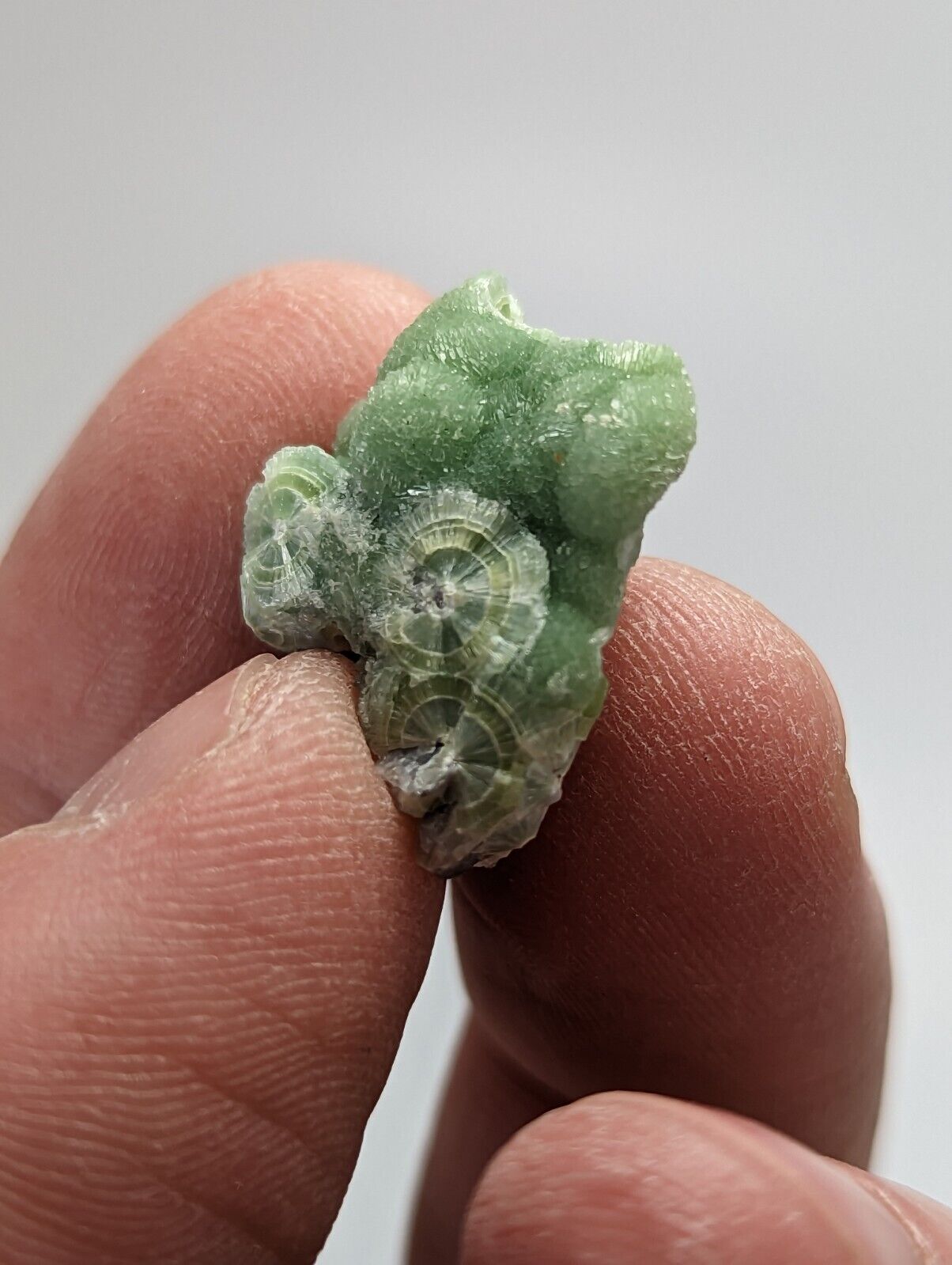 Amazing Wavellite - Fantastic 1990s Old Stock - Mauldin Mountain Arkansas - Collectibles:Rocks Fossils &