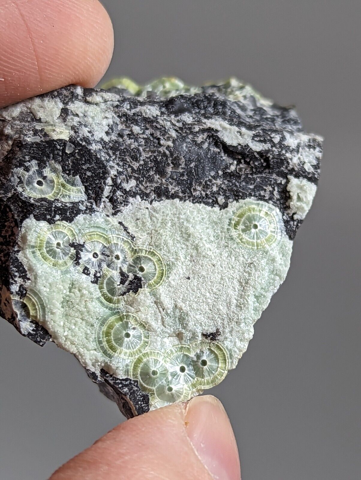 Amazing Wavellite - Fantastic 1990s Old Stock - Mauldin Mountain Arkansas - Collectibles:Rocks Fossils &