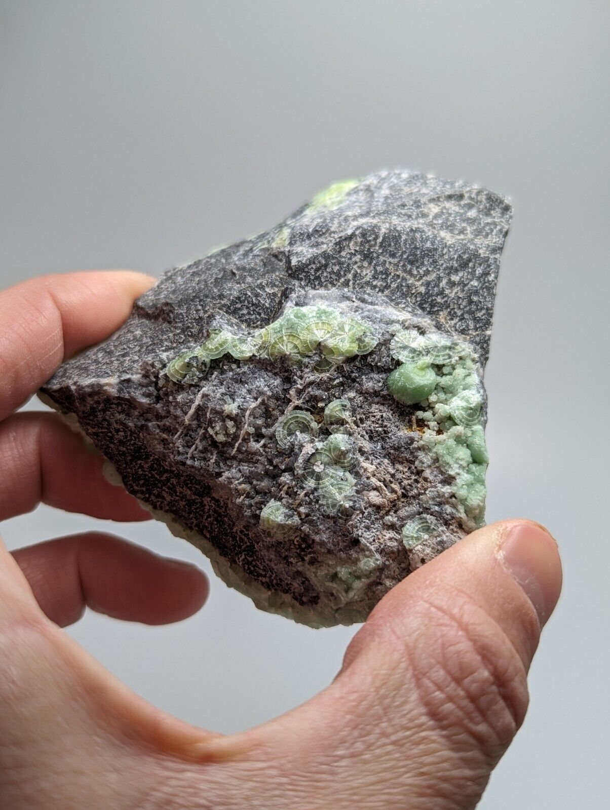 Amazing Wavellite - Fantastic 1990s Old Stock - Mauldin Mountain Arkansas - Collectibles:Rocks Fossils &