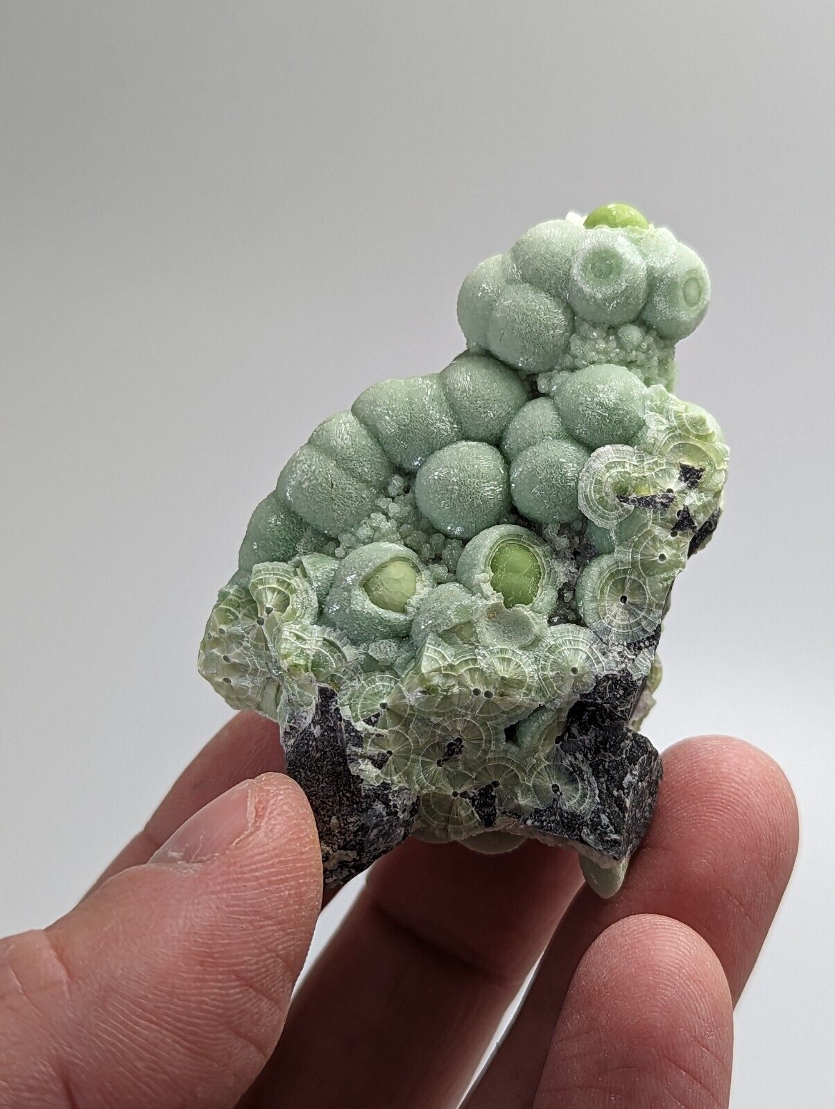 Amazing Wavellite - Fantastic 1990s Old Stock - Mauldin Mountain Arkansas - Collectibles:Rocks Fossils &