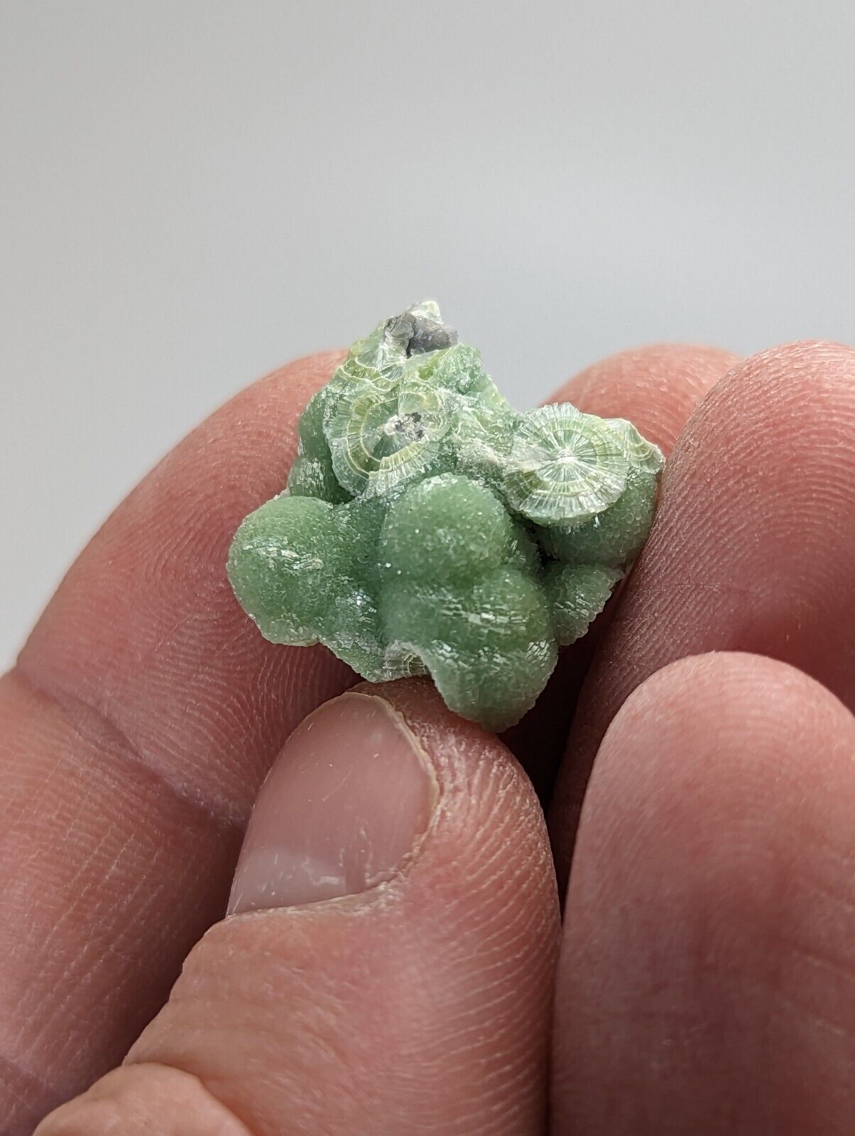 Amazing Wavellite - Fantastic 1990s Old Stock - Mauldin Mountain Arkansas - Collectibles:Rocks Fossils &