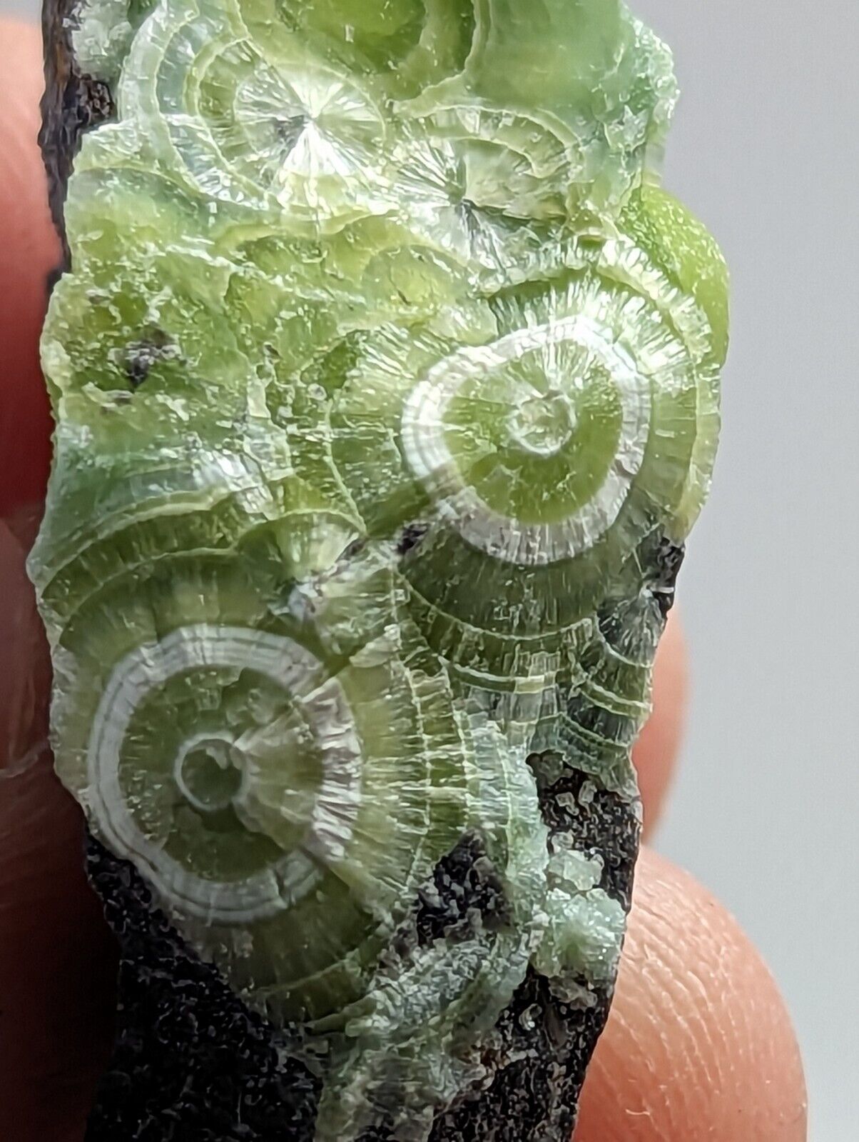 Amazing Wavellite - Fantastic 1990s Old Stock - Mauldin Mountain Arkansas - Collectibles:Rocks Fossils &