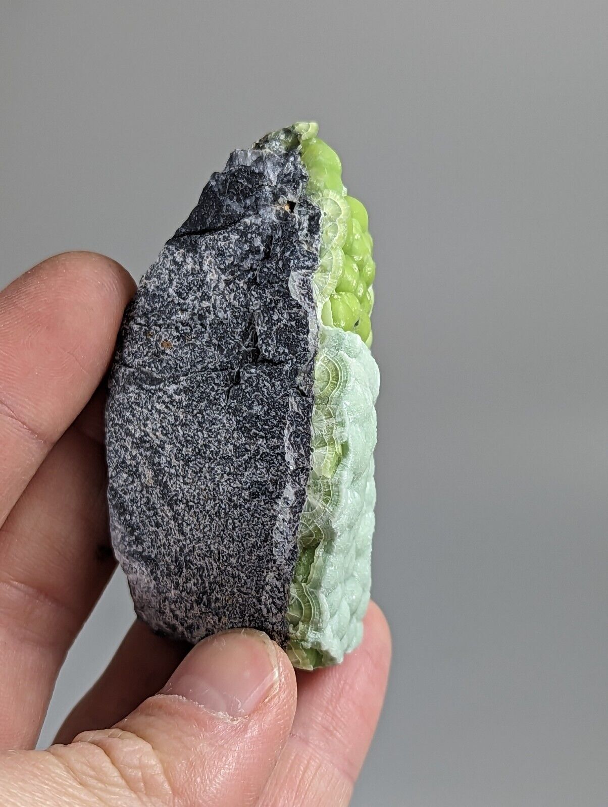 Amazing Wavellite - Fantastic 1990s Old Stock - Mauldin Mountain Arkansas - Collectibles:Rocks Fossils &