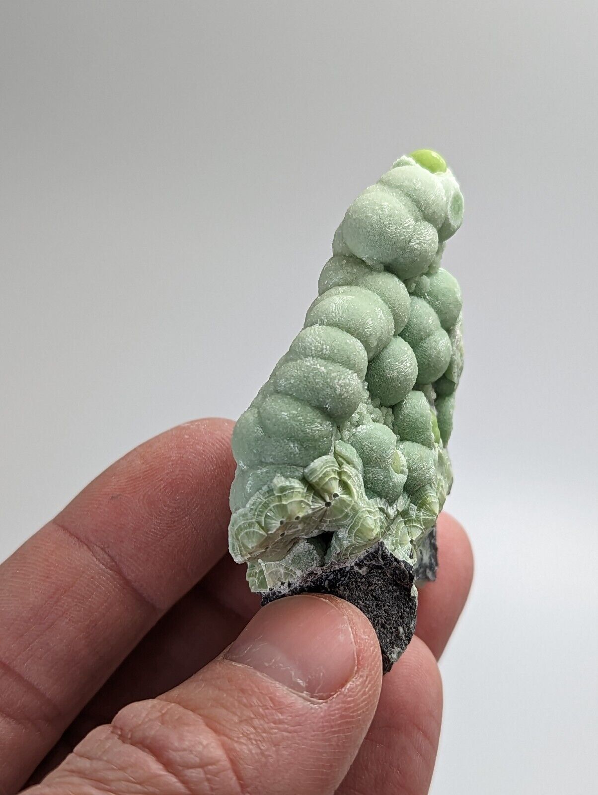Amazing Wavellite - Fantastic 1990s Old Stock - Mauldin Mountain Arkansas - Collectibles:Rocks Fossils &