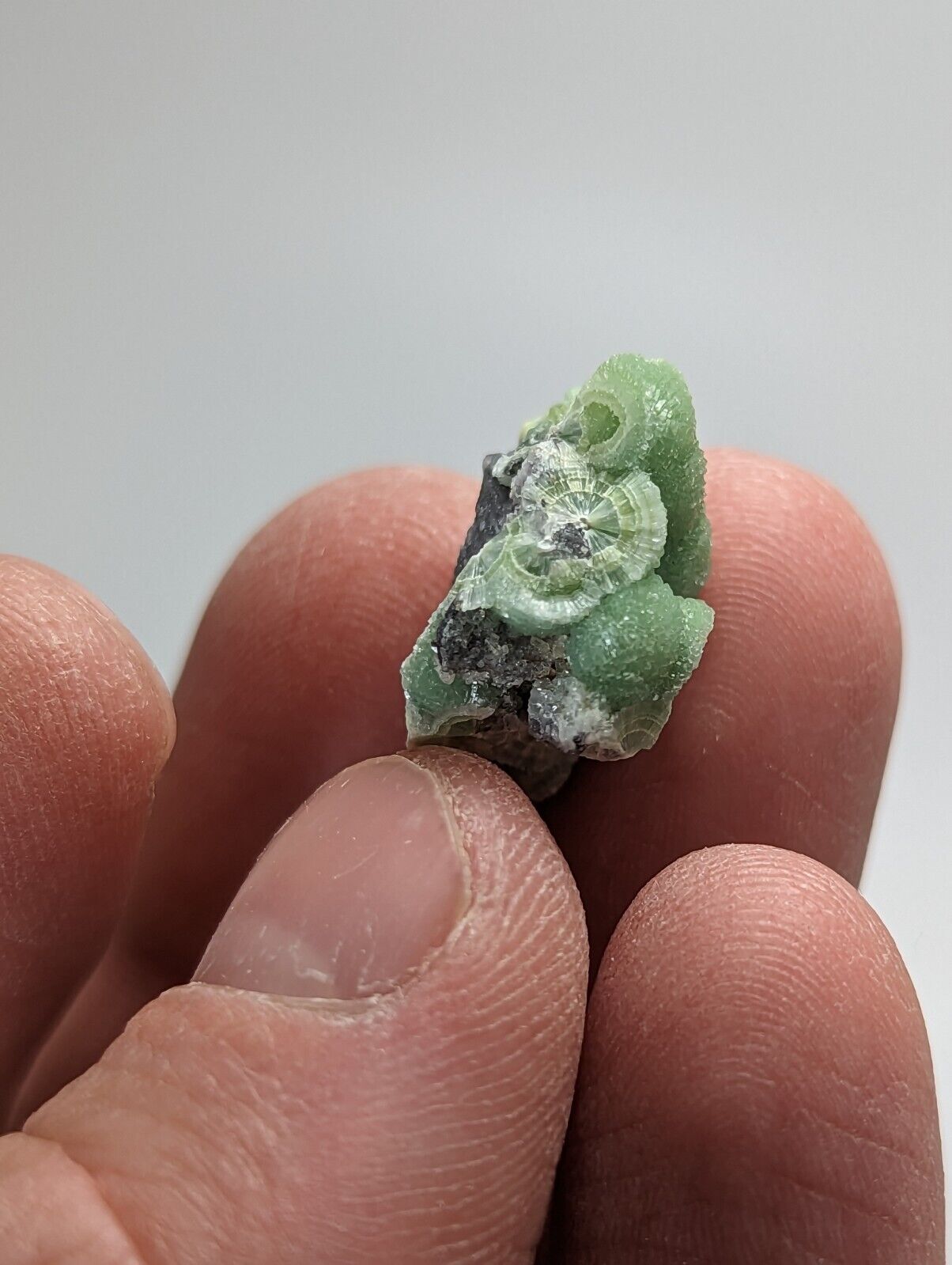 Amazing Wavellite - Fantastic 1990s Old Stock - Mauldin Mountain Arkansas - Collectibles:Rocks Fossils &