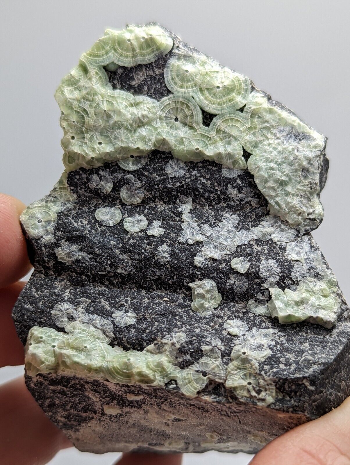 Amazing Wavellite - Fantastic 1990s Old Stock - Mauldin Mountain Arkansas Rare - Collectibles:Rocks Fossils &