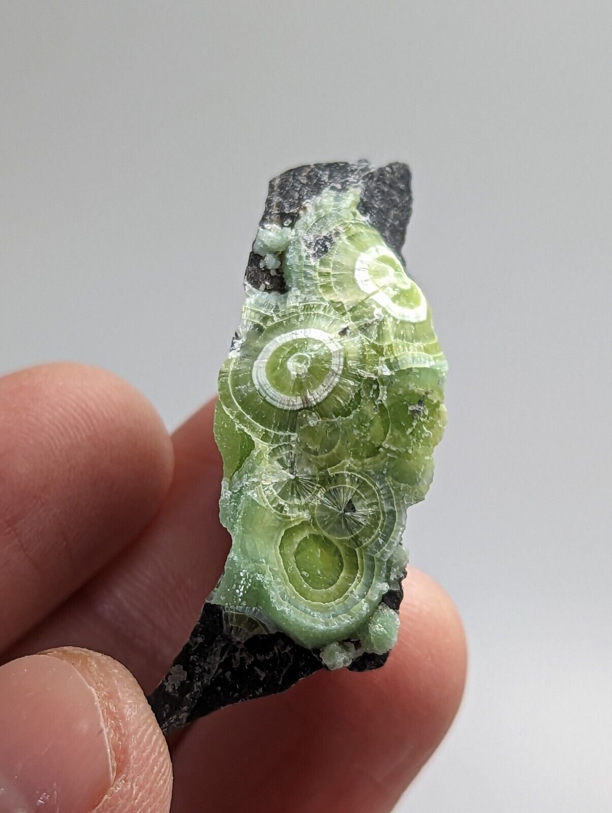 Amazing Wavellite - Fantastic 1990s Old Stock - Mauldin Mountain Arkansas - Collectibles:Rocks Fossils &