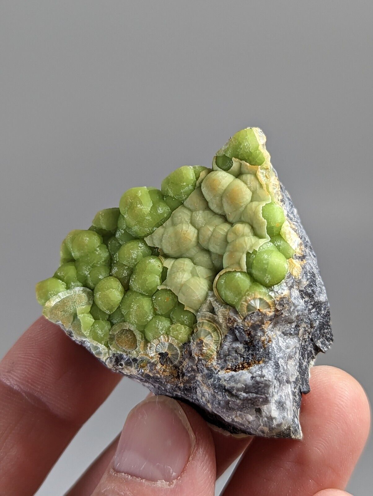 Amazing Wavellite - Fantastic 1990s Old Stock - Mauldin Mountain Arkansas - Collectibles:Rocks Fossils &