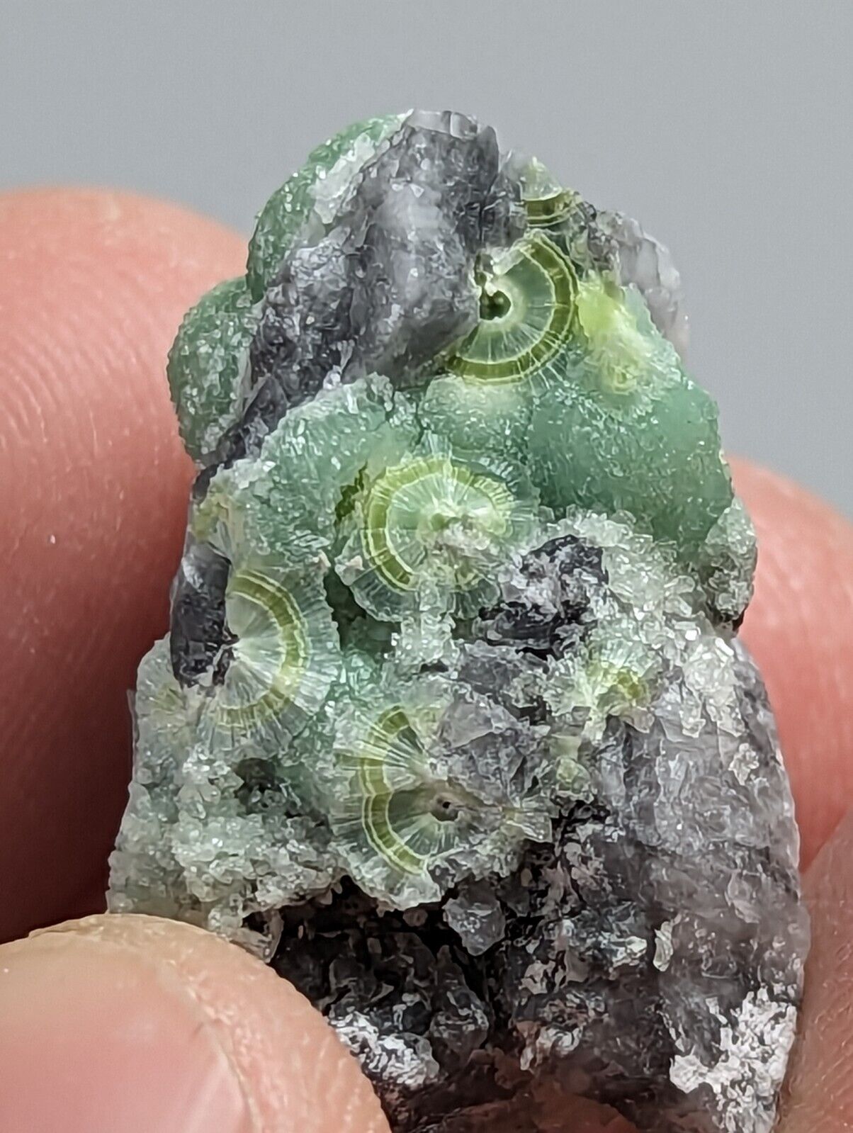 Amazing Wavellite - Fantastic 1990s Old Stock - Mauldin Mountain Arkansas - Collectibles:Rocks Fossils &