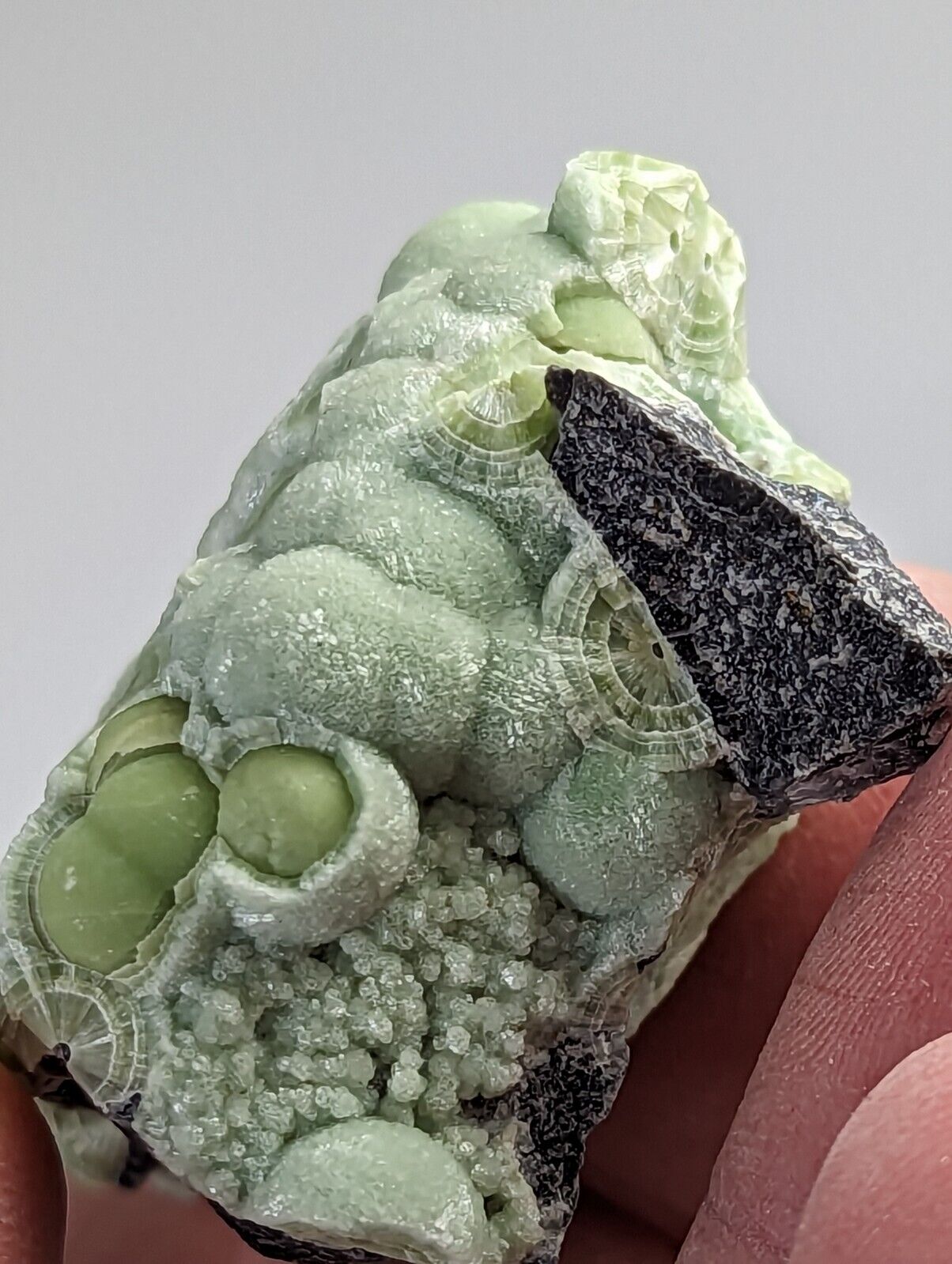 Amazing Wavellite - Fantastic 1990s Old Stock - Mauldin Mountain Arkansas - Collectibles:Rocks Fossils &