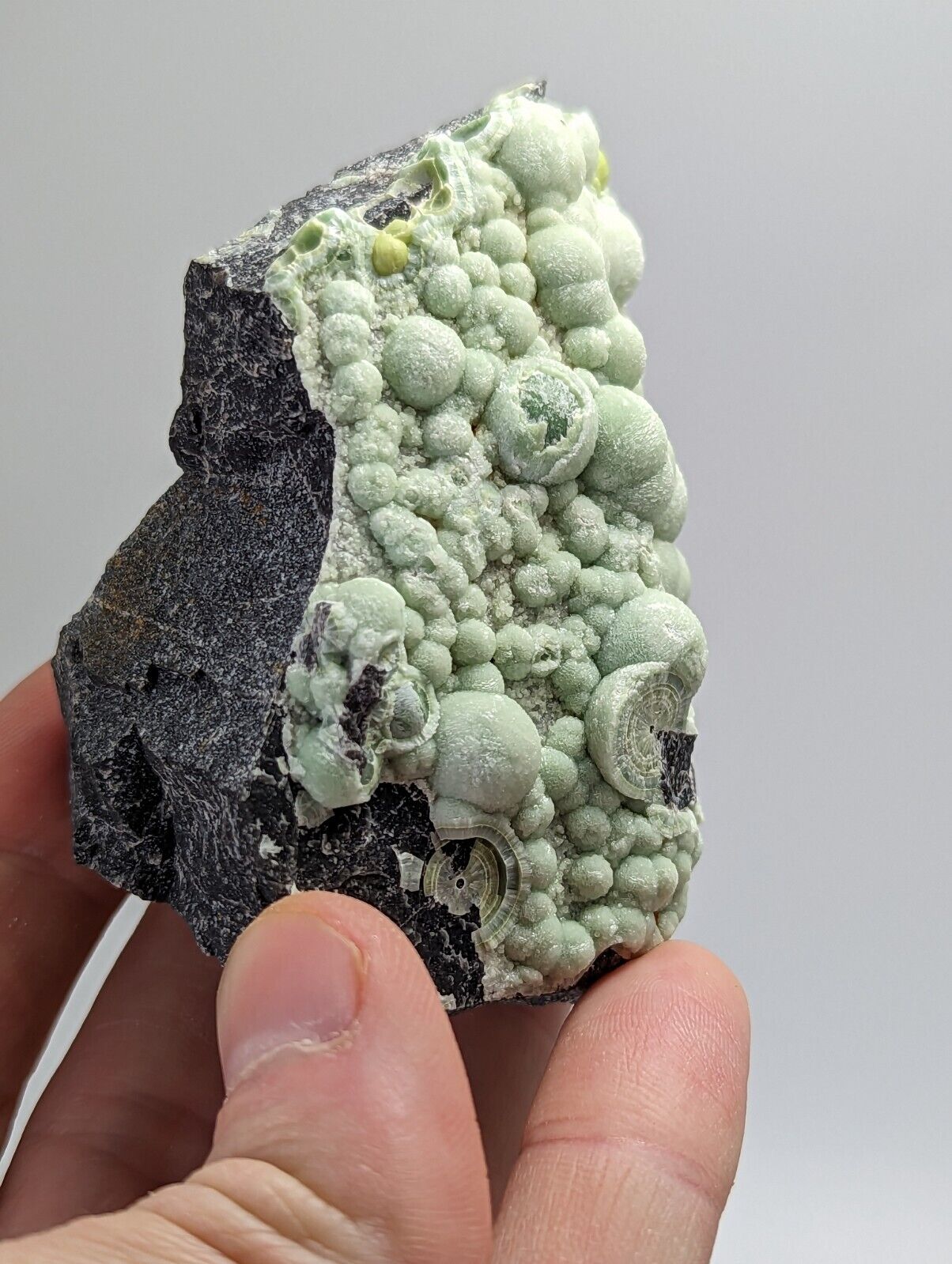 Amazing Wavellite - Fantastic 1990s Old Stock - Mauldin Mountain Arkansas Rare - Collectibles:Rocks Fossils &