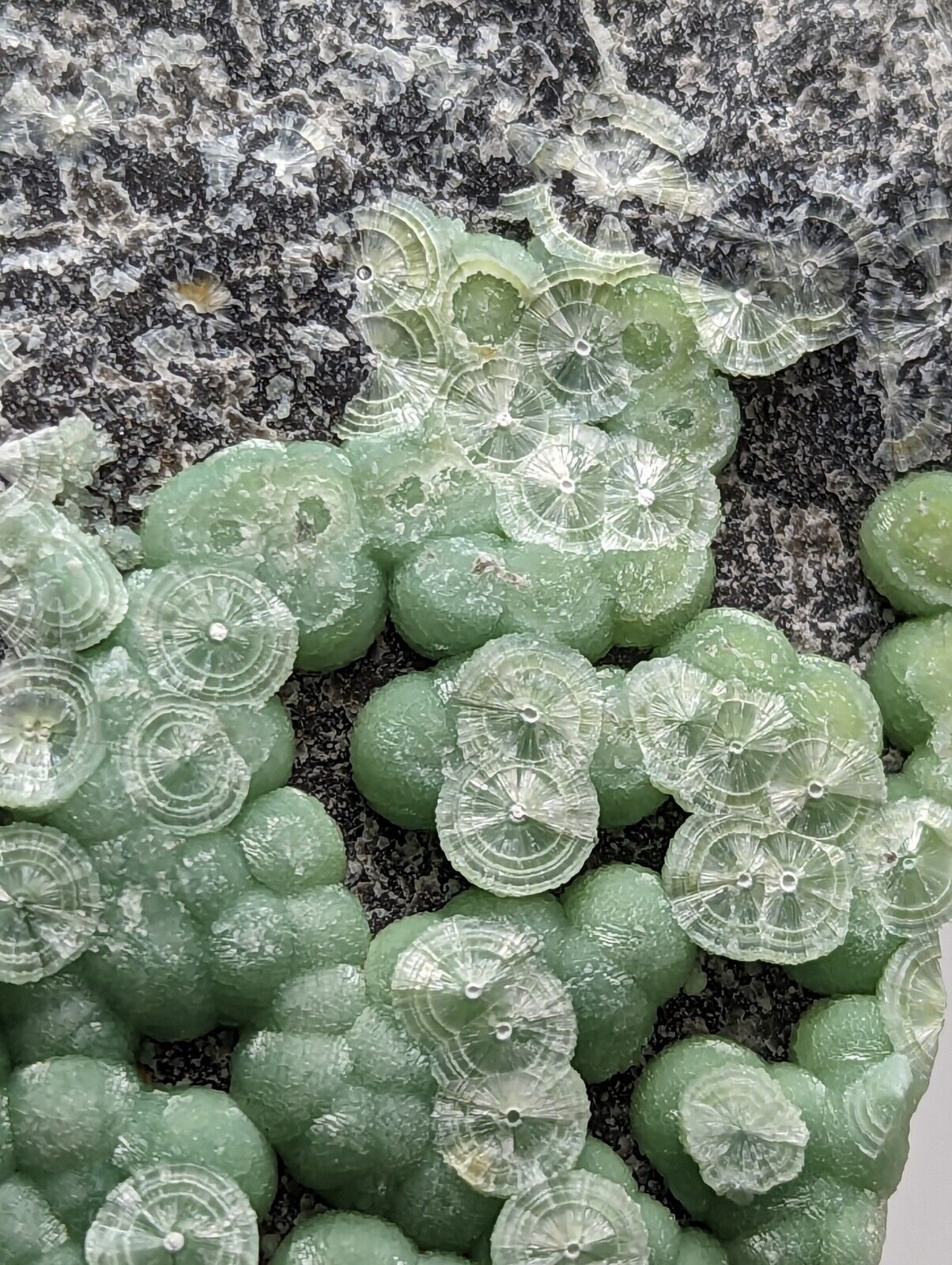 Amazing Wavellite - Fantastic 1990s Old Stock - Mauldin Mountain Arkansas - Collectibles:Rocks Fossils &