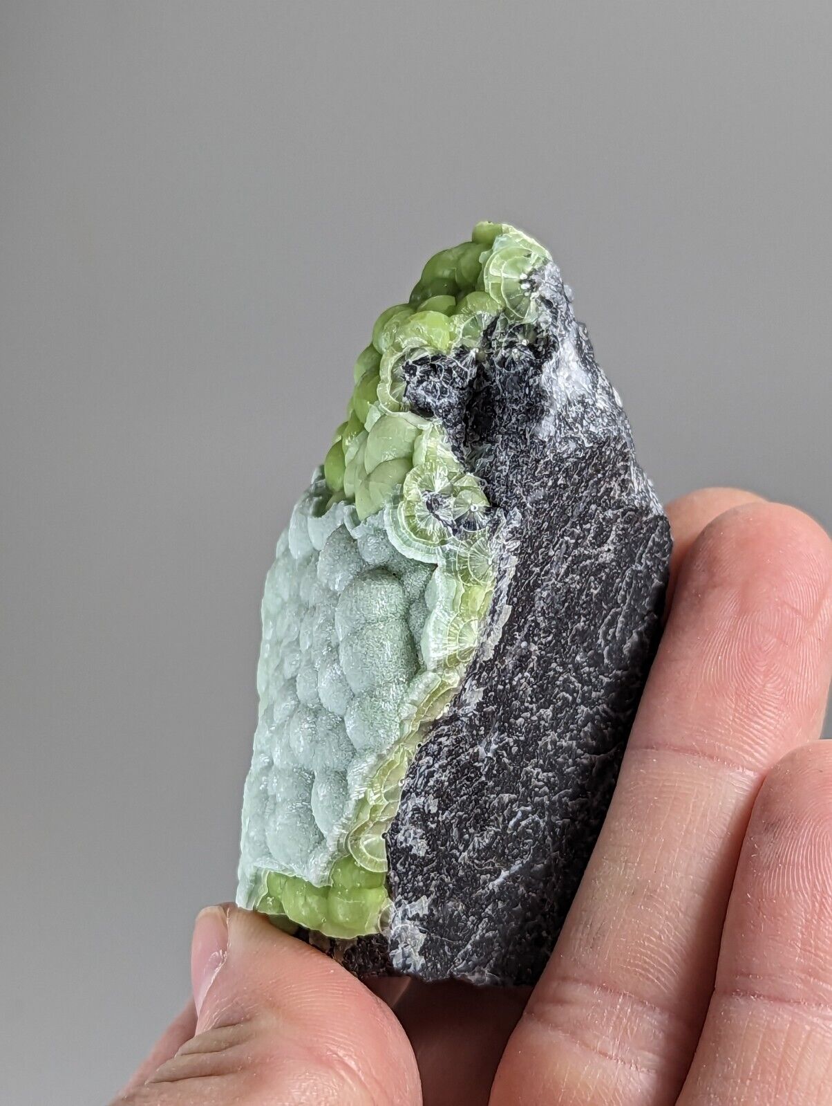 Amazing Wavellite - Fantastic 1990s Old Stock - Mauldin Mountain Arkansas - Collectibles:Rocks Fossils &