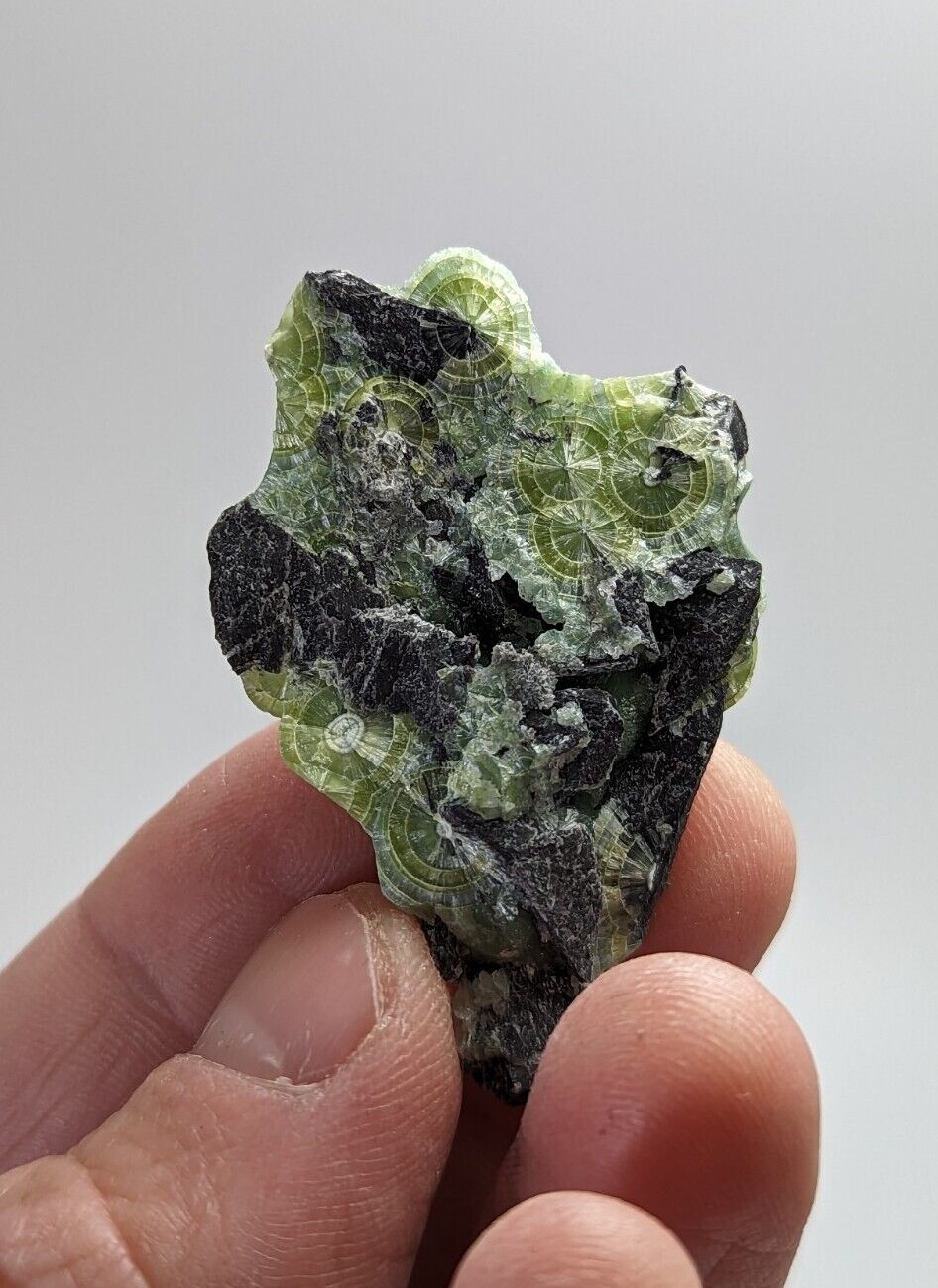 Amazing Wavellite - Fantastic 1990s Old Stock - Mauldin Mountain Arkansas - Collectibles:Rocks Fossils &