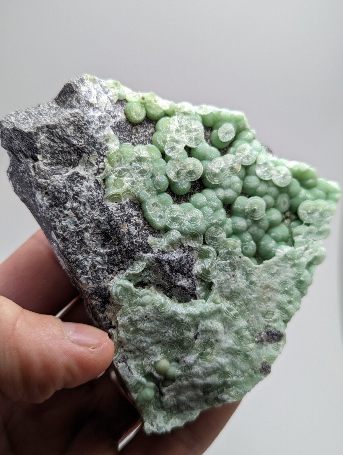 Amazing Wavellite - Fantastic 1990s Old Stock - Mauldin Mountain Arkansas - Collectibles:Rocks Fossils &