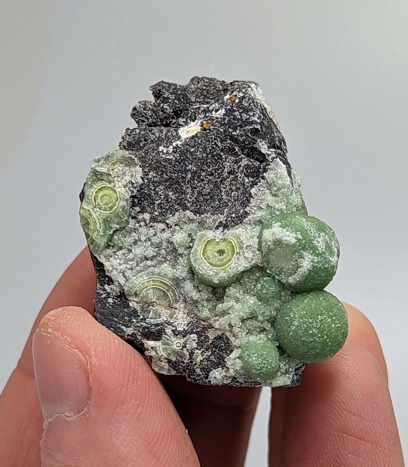 Amazing Wavellite - Fantastic 1990s Old Stock - Mauldin Mountain Arkansas - Collectibles:Rocks Fossils &
