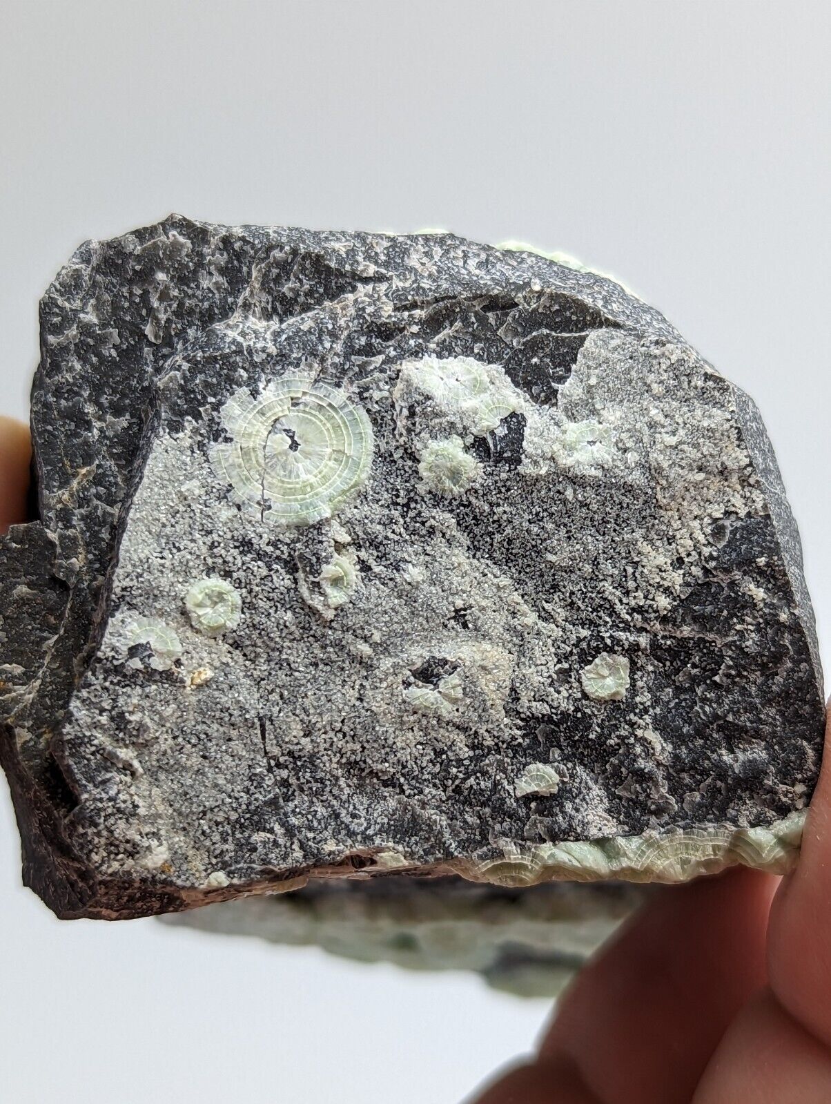 Amazing Wavellite - Fantastic 1990s Old Stock - Mauldin Mountain Arkansas Rare - Collectibles:Rocks Fossils &