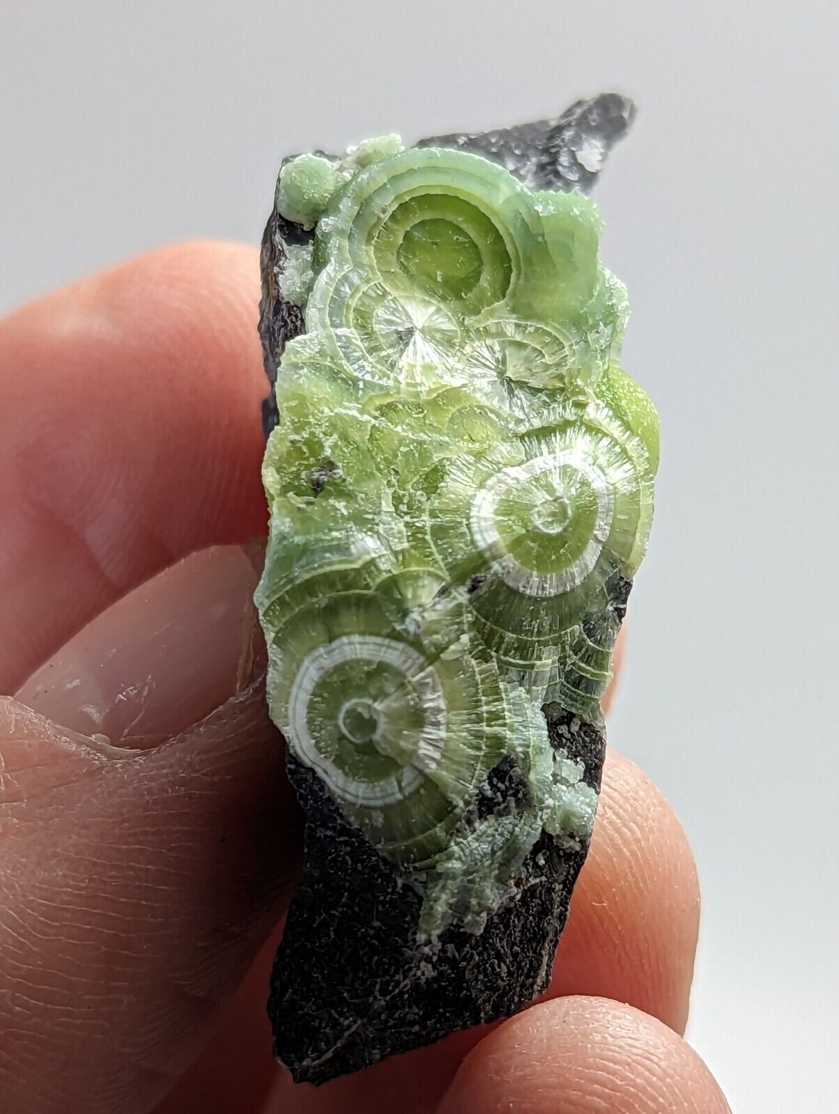 Amazing Wavellite - Fantastic 1990s Old Stock - Mauldin Mountain Arkansas - Collectibles:Rocks Fossils &