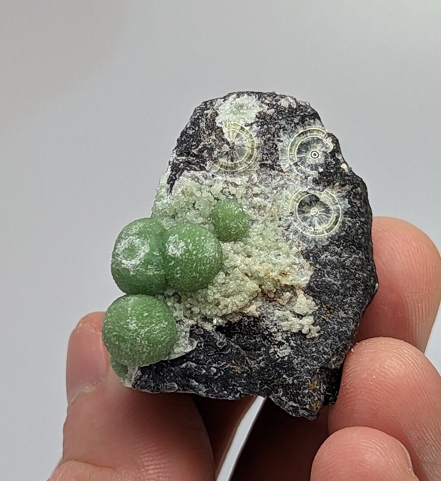 Amazing Wavellite - Fantastic 1990s Old Stock - Mauldin Mountain Arkansas - Collectibles:Rocks Fossils &