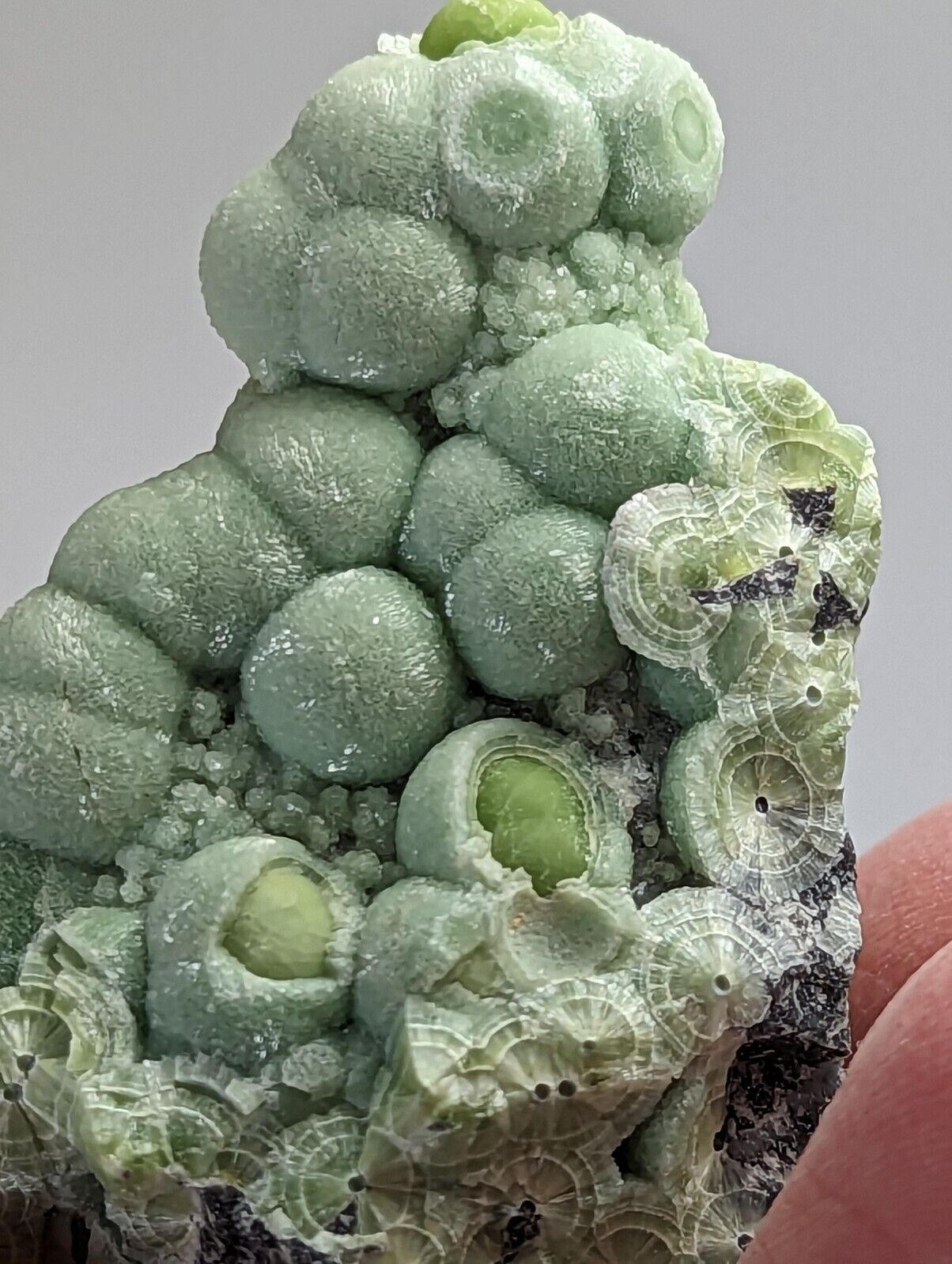Amazing Wavellite - Fantastic 1990s Old Stock - Mauldin Mountain Arkansas - Collectibles:Rocks Fossils &