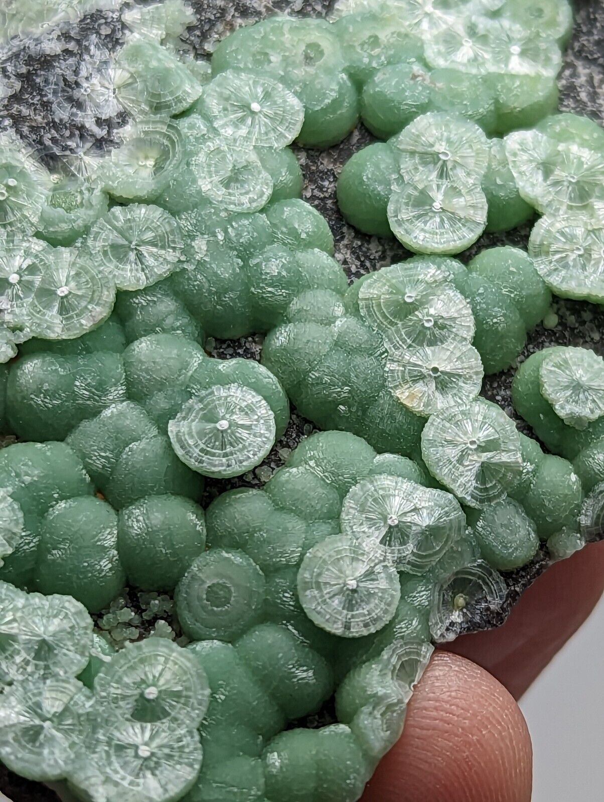 Amazing Wavellite - Fantastic 1990s Old Stock - Mauldin Mountain Arkansas - Collectibles:Rocks Fossils &