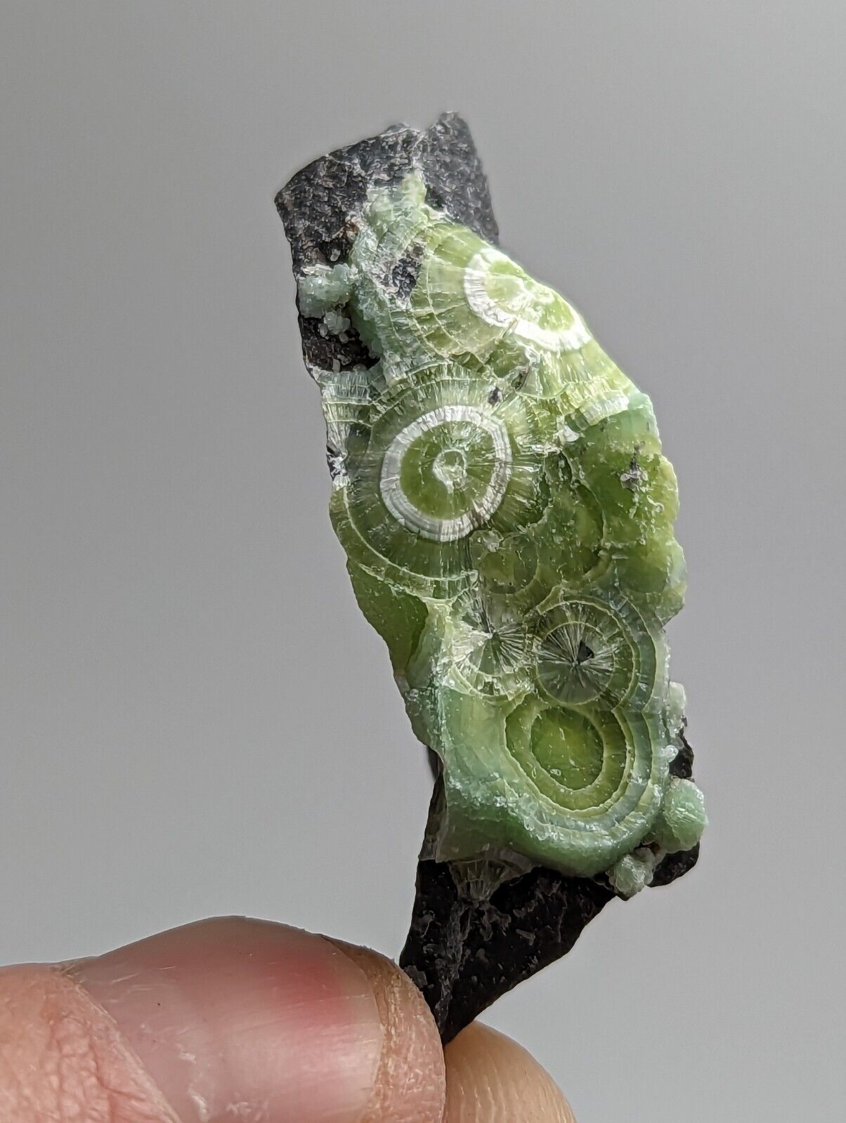 Amazing Wavellite - Fantastic 1990s Old Stock - Mauldin Mountain Arkansas - Collectibles:Rocks Fossils &