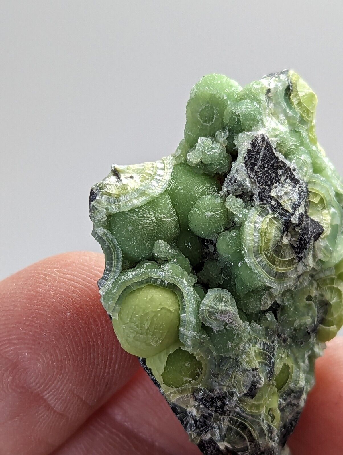 Amazing Wavellite - Fantastic 1990s Old Stock - Mauldin Mountain Arkansas - Collectibles:Rocks Fossils &