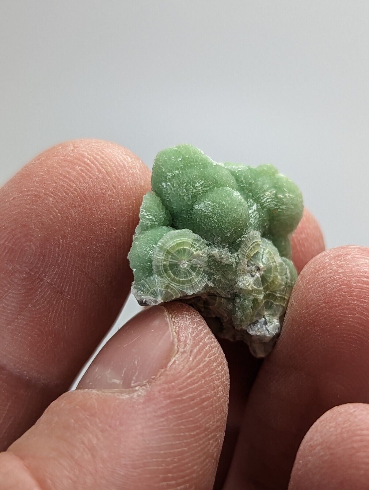 Amazing Wavellite - Fantastic 1990s Old Stock - Mauldin Mountain Arkansas - Collectibles:Rocks Fossils &