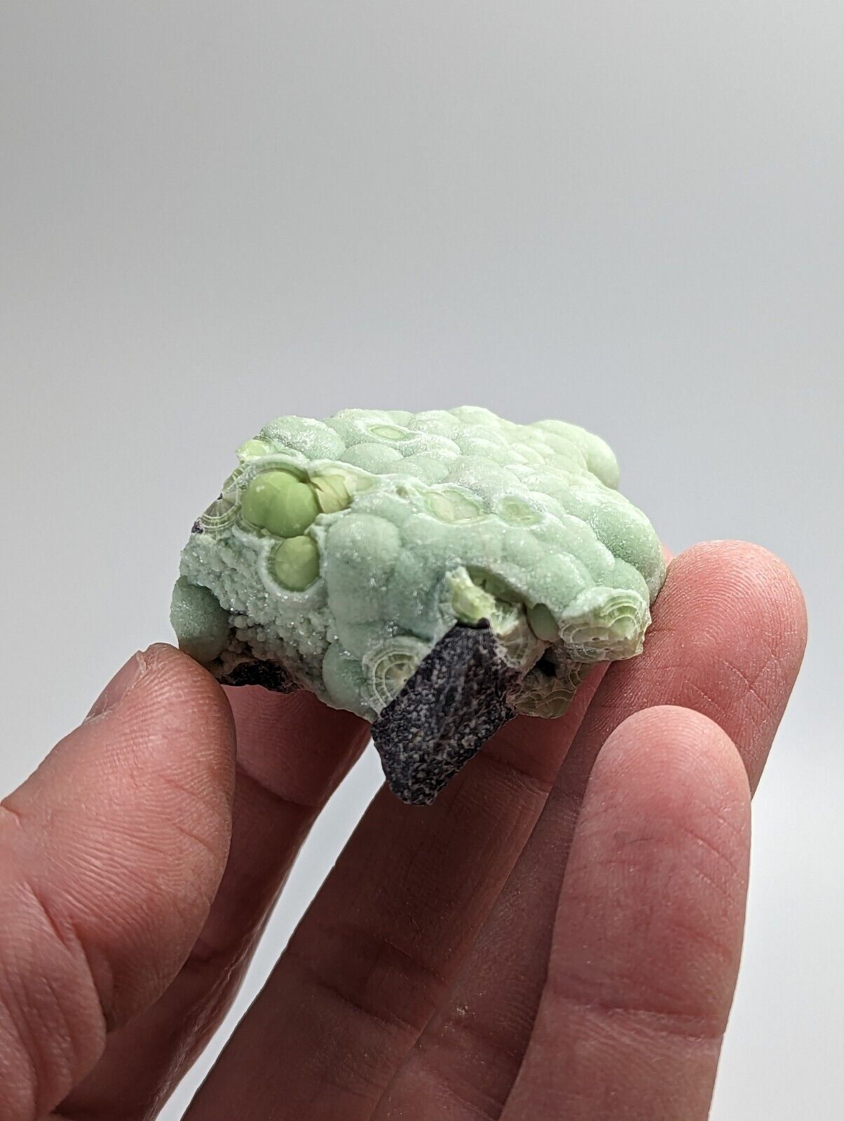 Amazing Wavellite - Fantastic 1990s Old Stock - Mauldin Mountain Arkansas - Collectibles:Rocks Fossils &