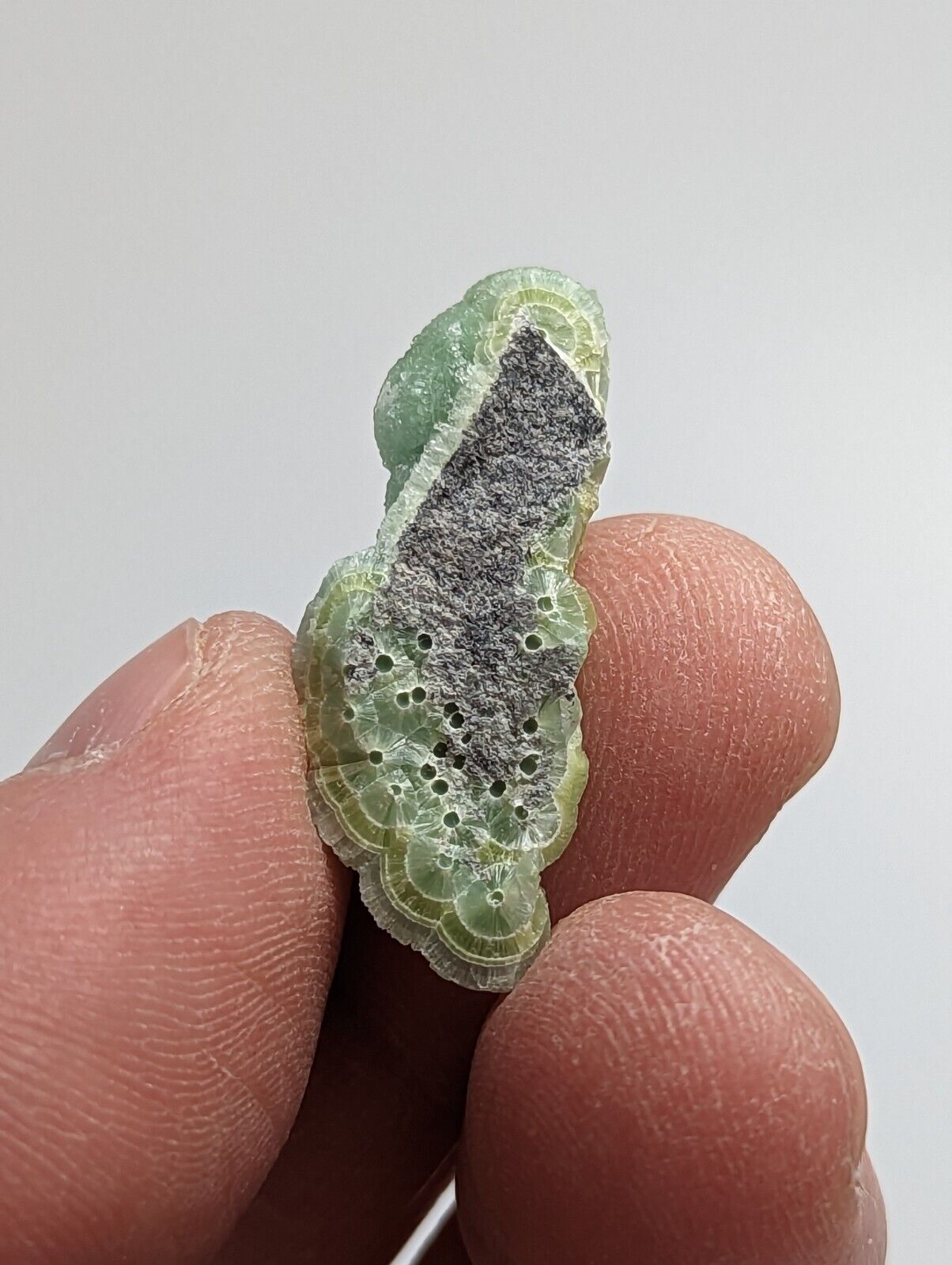 Amazing Wavellite - Fantastic 1990s Old Stock - Mauldin Mountain Arkansas - Collectibles:Rocks Fossils &