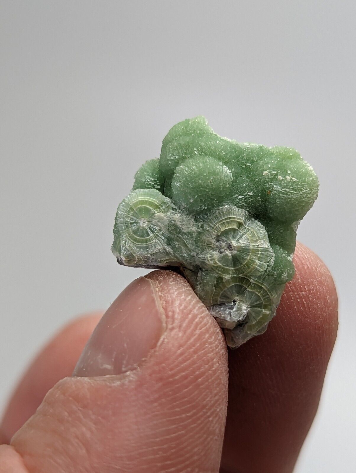 Amazing Wavellite - Fantastic 1990s Old Stock - Mauldin Mountain Arkansas - Collectibles:Rocks Fossils &
