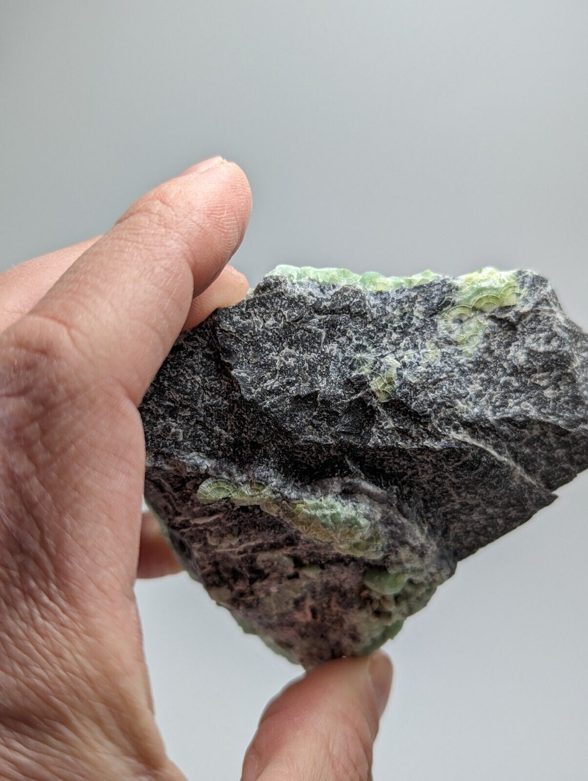 Amazing Wavellite - Fantastic 1990s Old Stock - Mauldin Mountain Arkansas - Collectibles:Rocks Fossils &