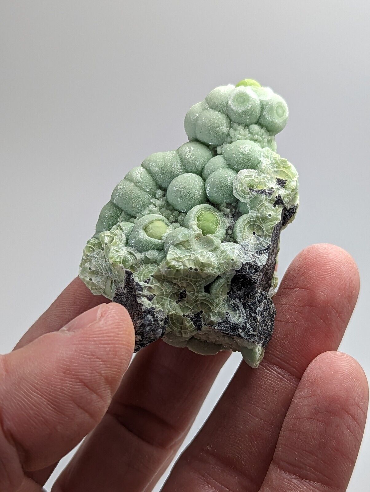 Amazing Wavellite - Fantastic 1990s Old Stock - Mauldin Mountain Arkansas - Collectibles:Rocks Fossils &