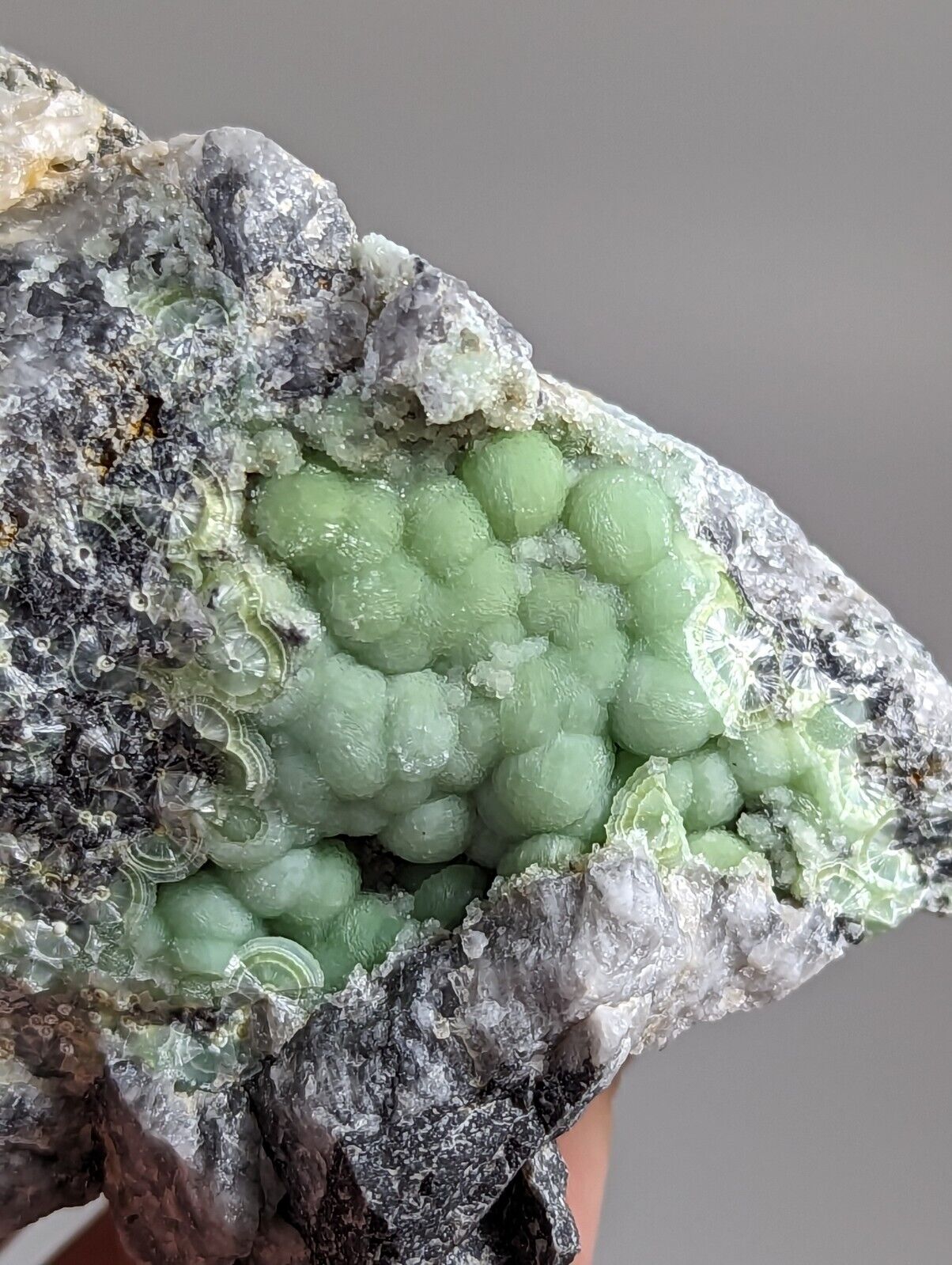 Amazing Wavellite - Fantastic 1990s Old Stock - Mauldin Mountain Arkansas - Collectibles:Rocks Fossils &