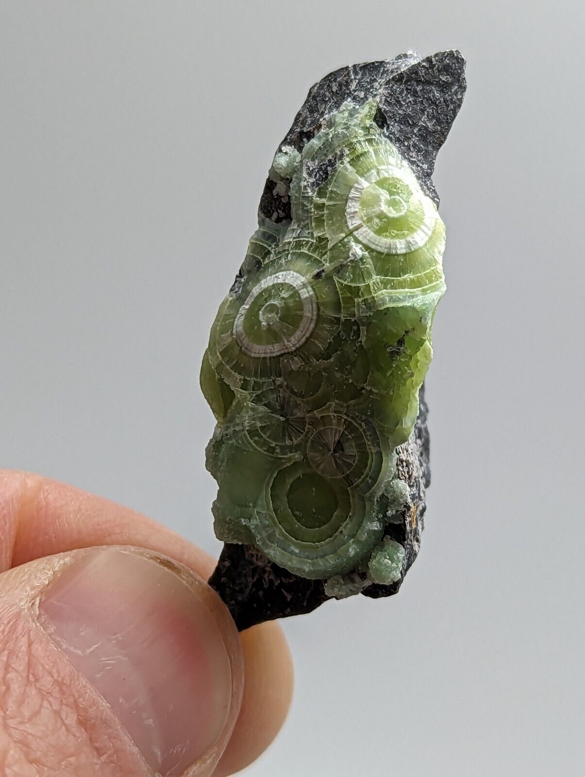 Amazing Wavellite - Fantastic 1990s Old Stock - Mauldin Mountain Arkansas - Collectibles:Rocks Fossils &