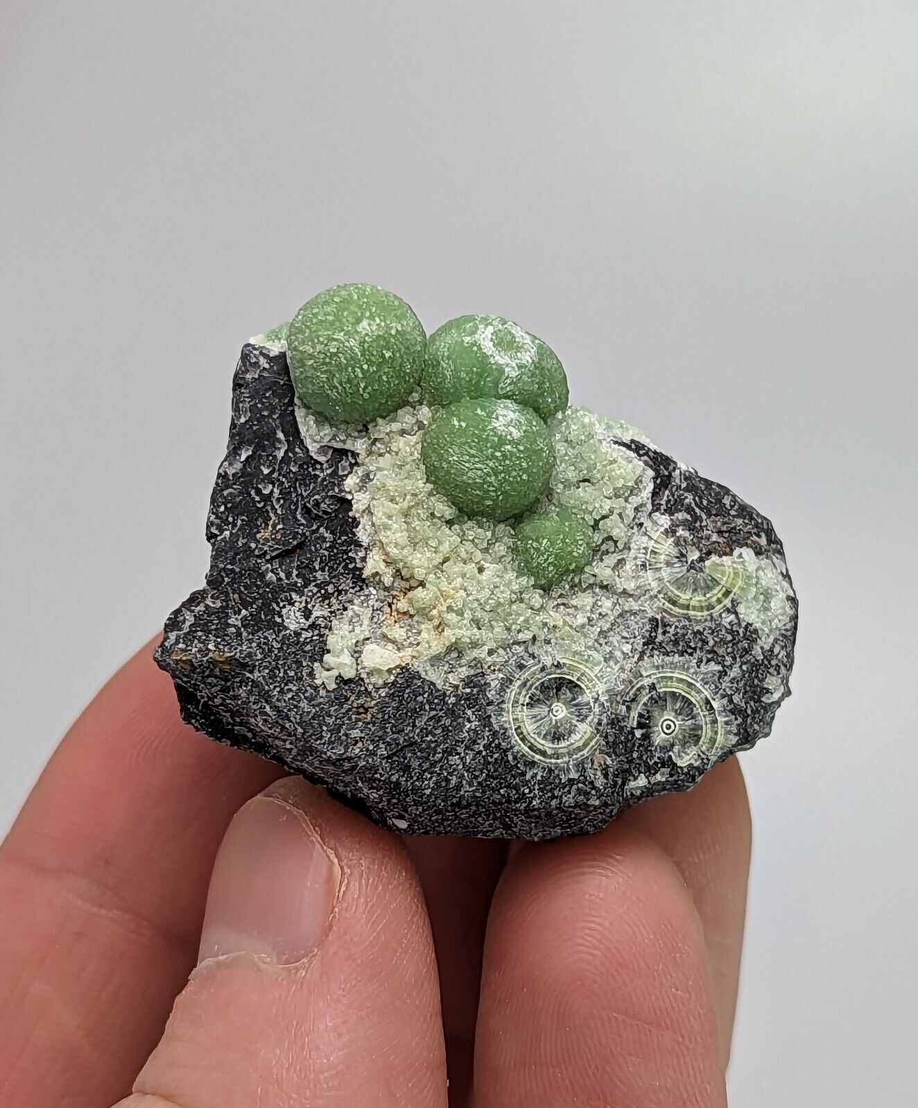 Amazing Wavellite - Fantastic 1990s Old Stock - Mauldin Mountain Arkansas - Collectibles:Rocks Fossils &