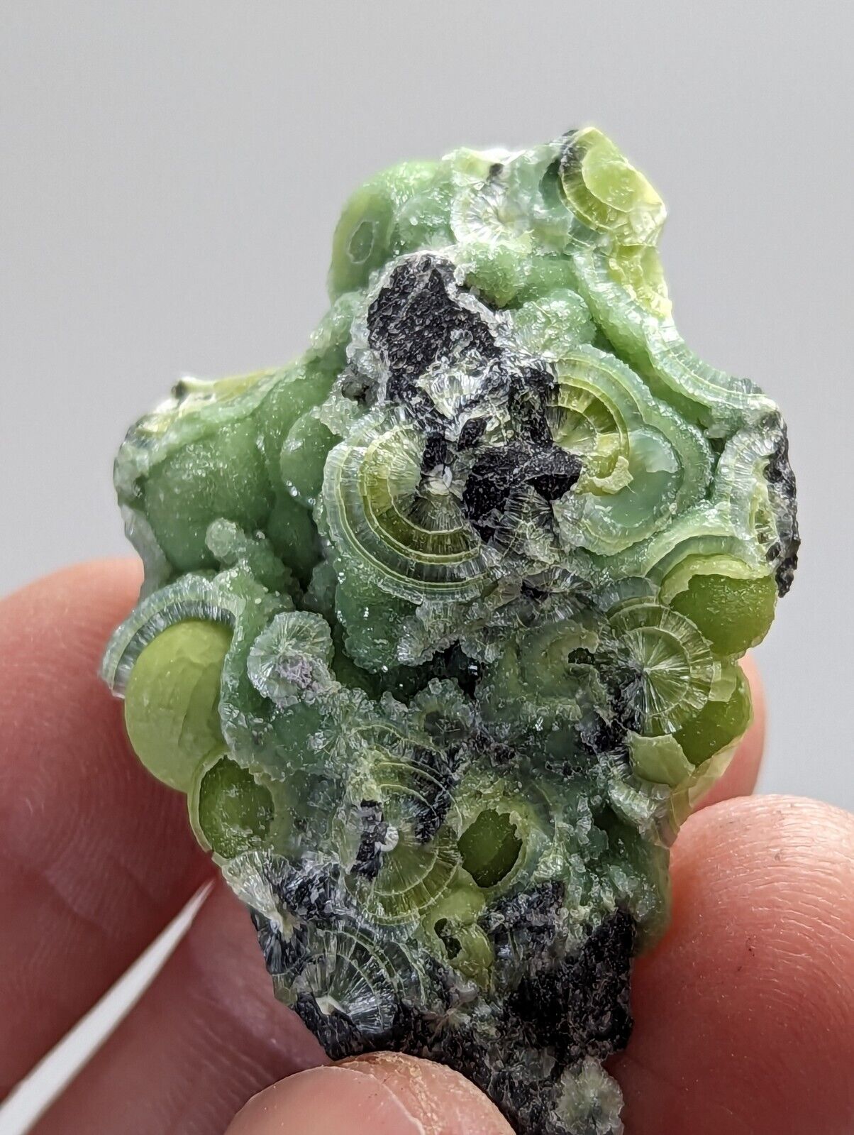 Amazing Wavellite - Fantastic 1990s Old Stock - Mauldin Mountain Arkansas - Collectibles:Rocks Fossils &